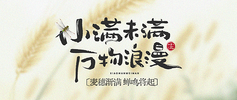 小满节气渐变弥散水稻插画公众号首图