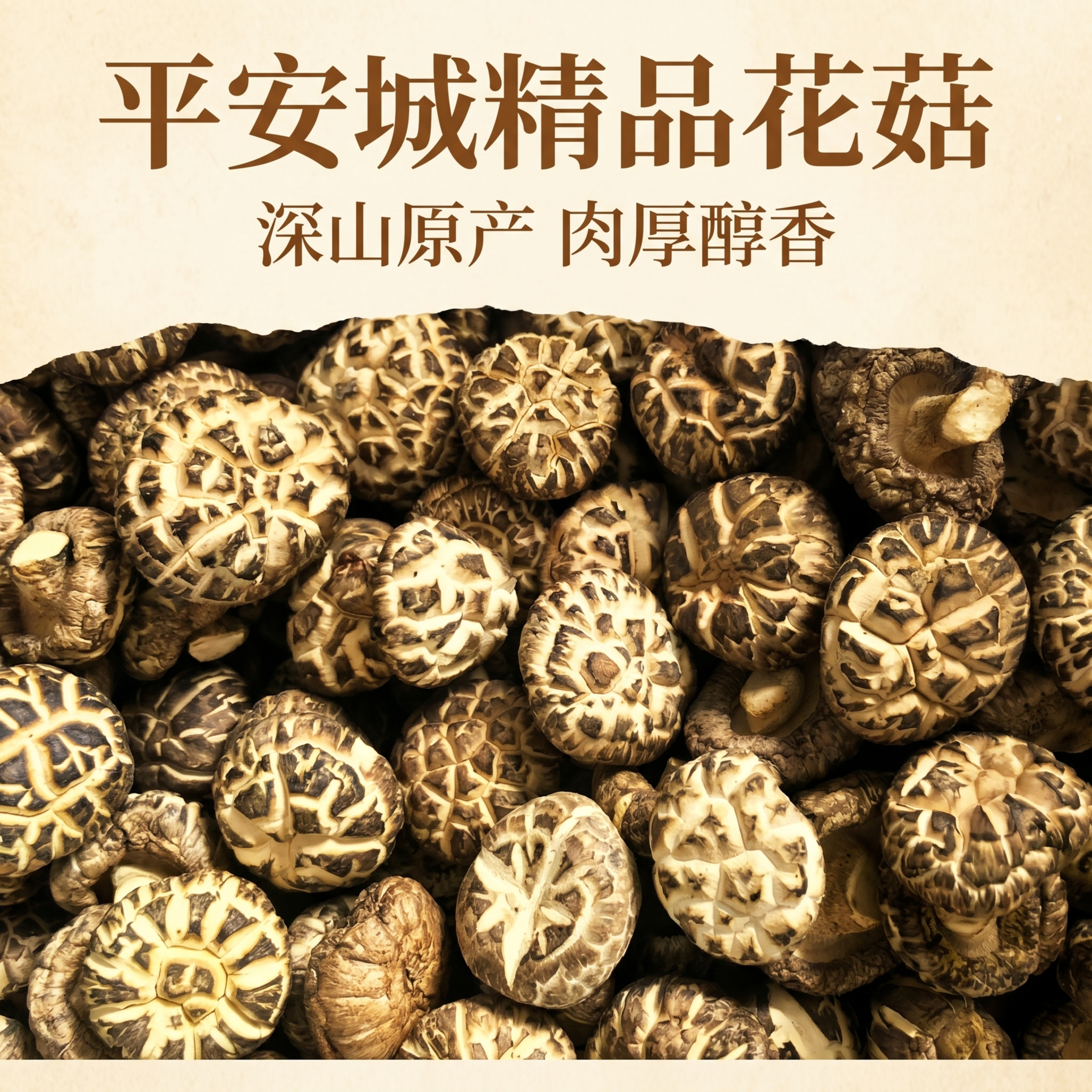 平安城花菇电商主图，首屏展示堆满干花菇的全景图，将原标题中"随… - 图片创意预览
