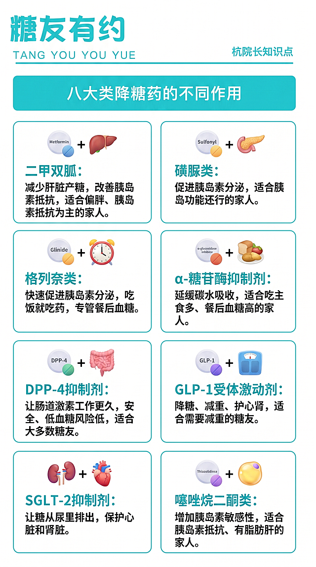 参考这张图片的版式和配色，生成一张新的健康科普图，标题为"八大类降糖药的不同作用"，保持顶部大标题"糖友有约"和右上角"杭院长知识点"文字，使用青蓝色和白色配色，分为八个卡片区域排列，每个卡片中包含药品种类名称和说明文字，所有文字内容要放大，字号加大，清晰适合老年人观看。具体文字内容：二甲双胍：减少肝脏产糖，改善胰岛素抵抗，适合偏胖、胰岛素抵抗为主的家人。磺脲类：促进胰岛素分泌，适合胰岛功能还行的家人。格列奈类：快速促进胰岛素分泌，吃饭就吃药，专管餐后血糖。α-糖苷酶抑制剂：延缓碳水吸收，适合吃主食多、餐后血糖高的家人。DPP-4抑制剂：让肠道激素工作更久，安全、低血糖风险低，适合大多数糖友。GLP-1受体激动剂：降糖、减重、护心肾，适合需要减重的糖友。SGLT-2抑制剂：让糖从尿里排出，保护心脏和肾脏。噻唑烷二酮类：增加胰岛素敏感性，适合胰岛素抵抗、有脂肪肝的家人。每个分类搭配简约的药物相关小图标，风格简约清晰。