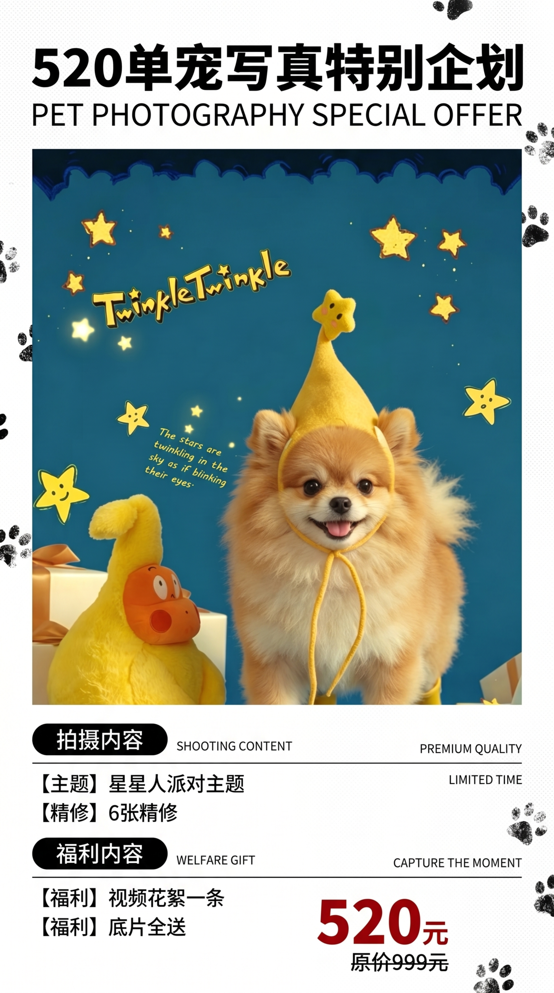 参考参考图的排版和字体设计，全新设计宠物摄影520宣传海报，纯… - 图片创意预览