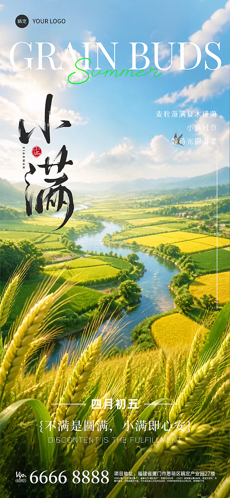 小满节气祝福肌理感麦田海报