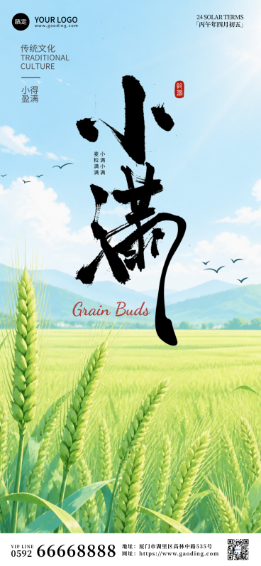 小满节气清新全屏竖版海报预览效果