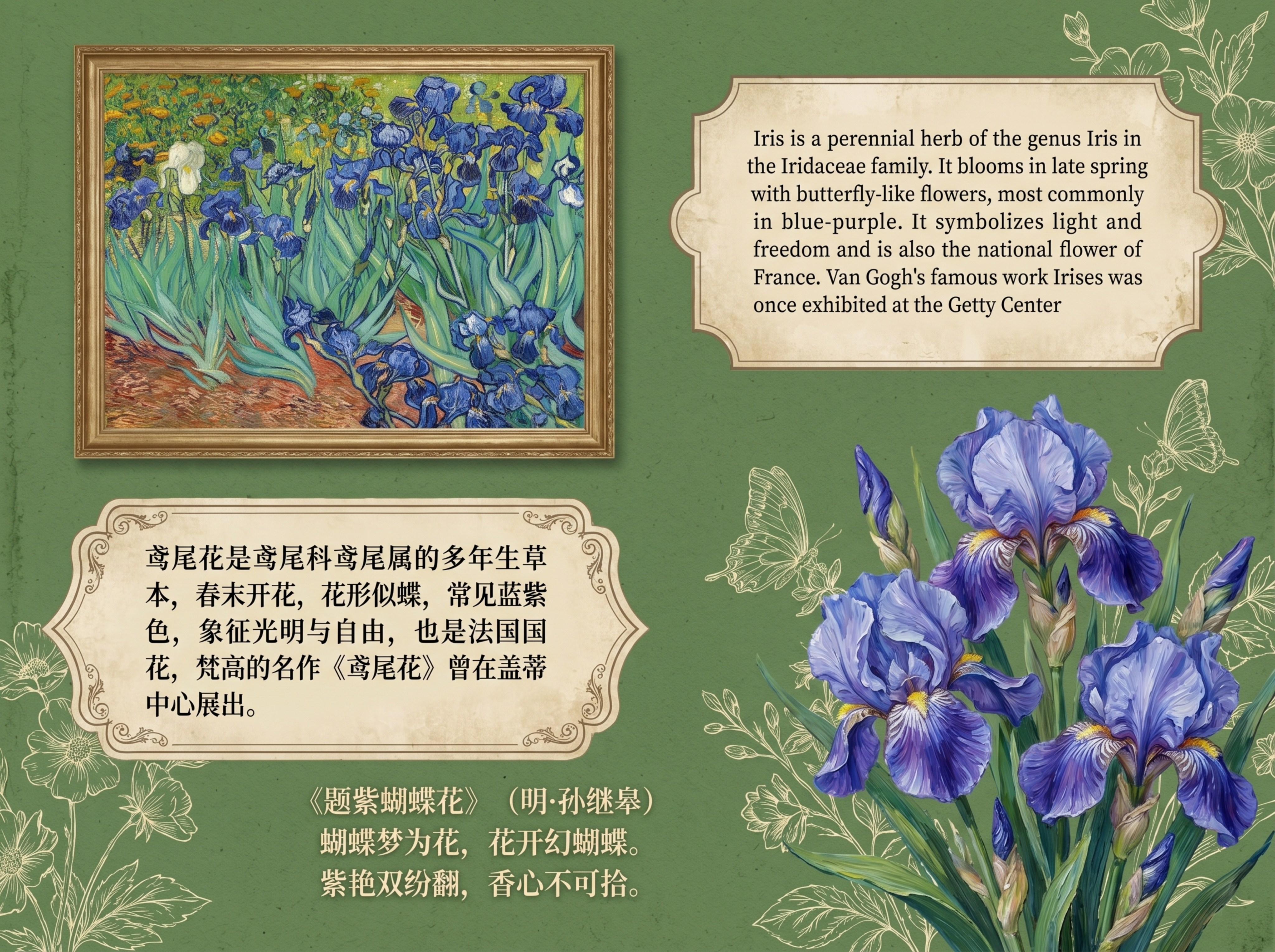 参考梵高《鸢尾花》原画的艺术风格，重新设计一张图文介绍海报，整… - 图片创意预览