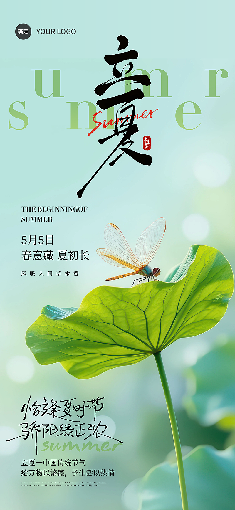 立夏实景感荷叶蜻蜓仰视背景全屏海报