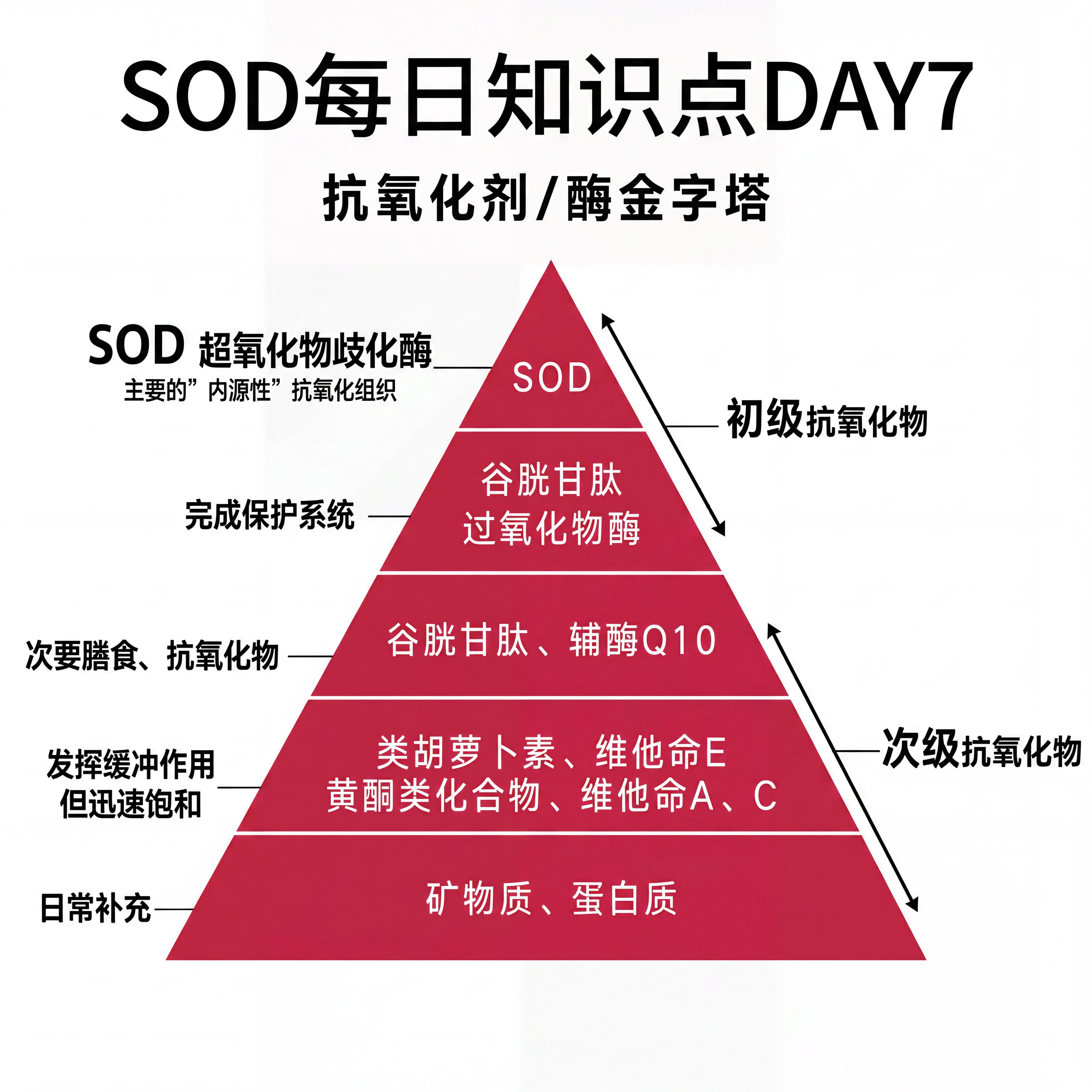 保留原图抗氧化剂/酶金字塔图表所有内容，添加标题文字'SOD每… - 图片创意预览