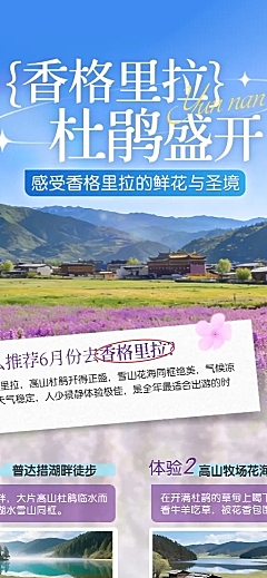 云南旅游6月赏花香格里拉初夏旅行赏花季拼贴风旅游公众号长图海报