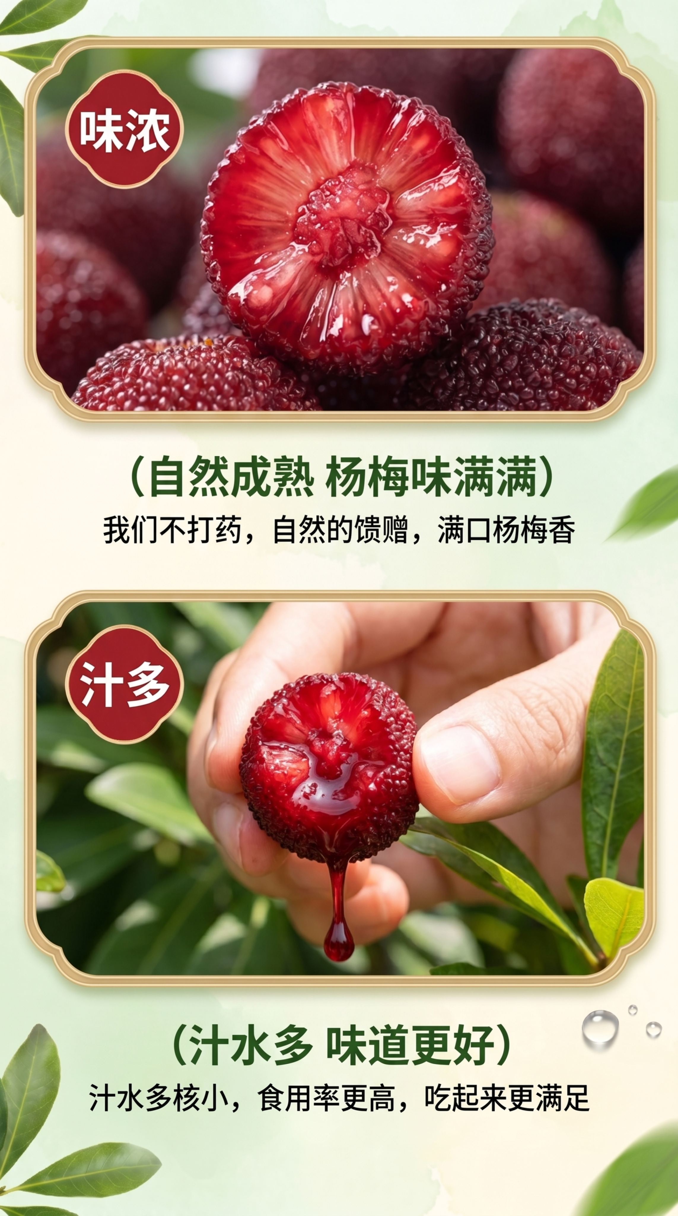 延续前面仙居东魁杨梅清新自然的浅绿浅米底色风格，不要黑色底色，… - 图片创意预览