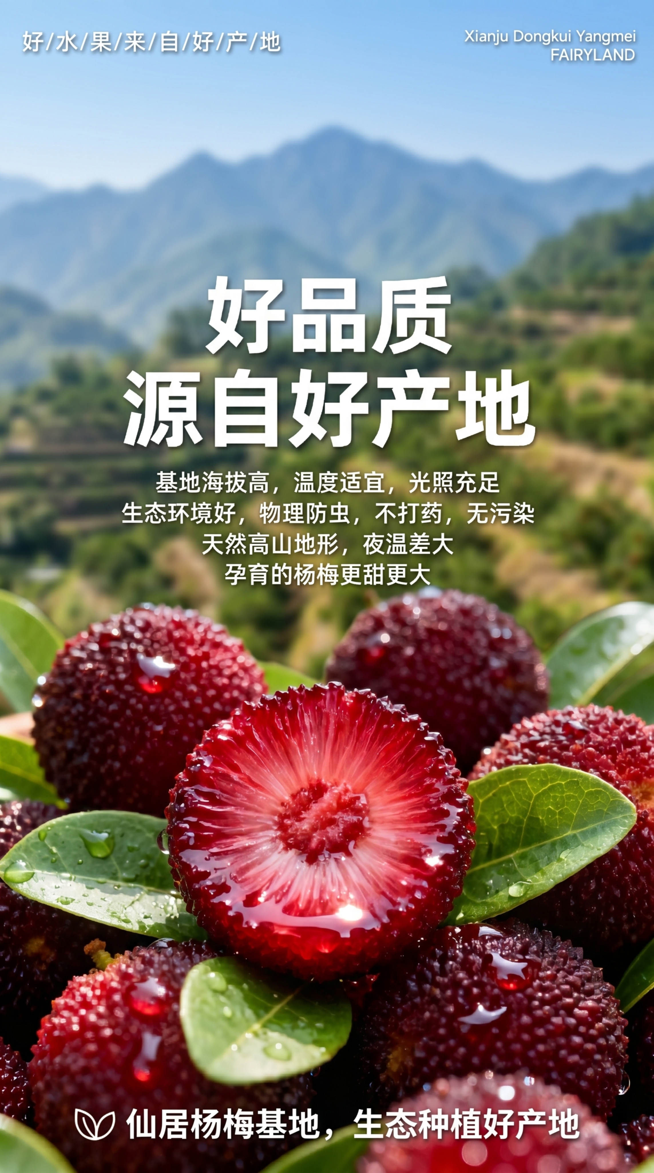 竖版电商海报构图，和第一张风格统一，超写实商业食品摄影，8K… - 图片创意预览