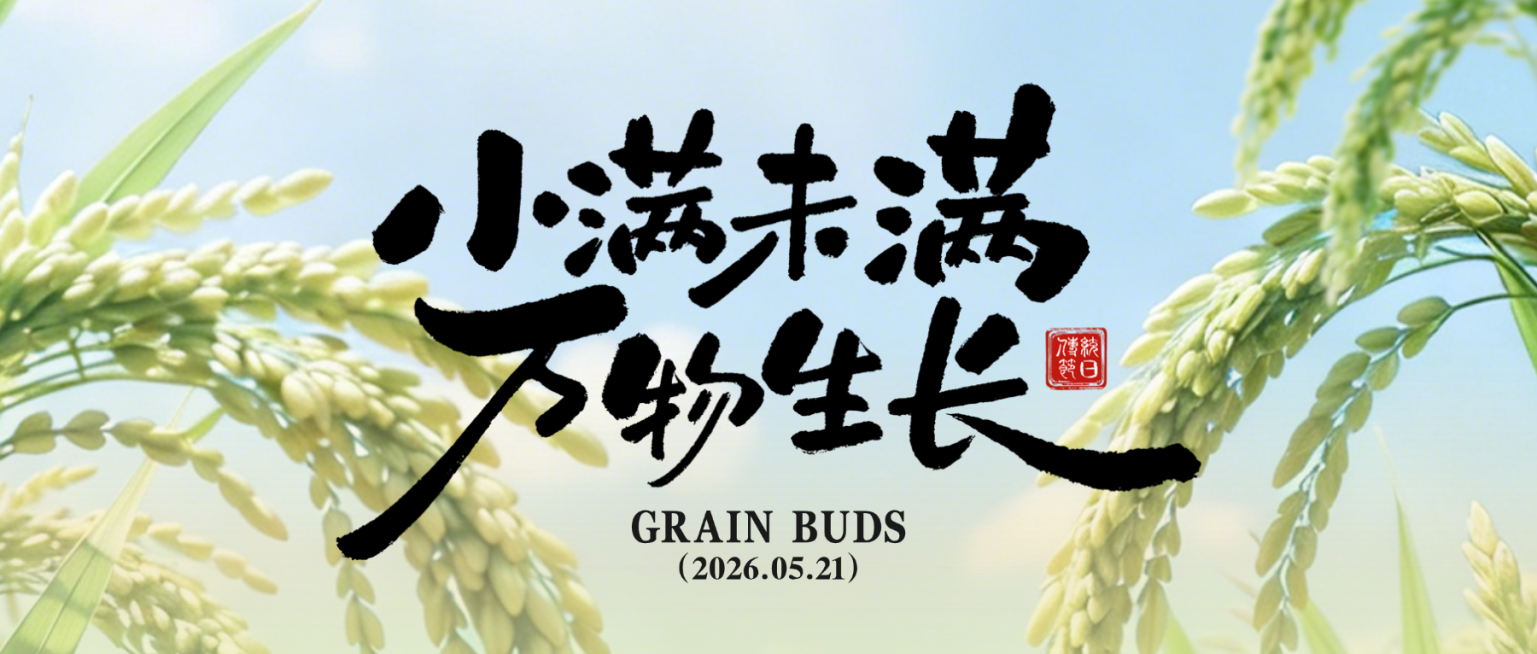 小满节气祝福通用清新感实景公众号首图预览效果