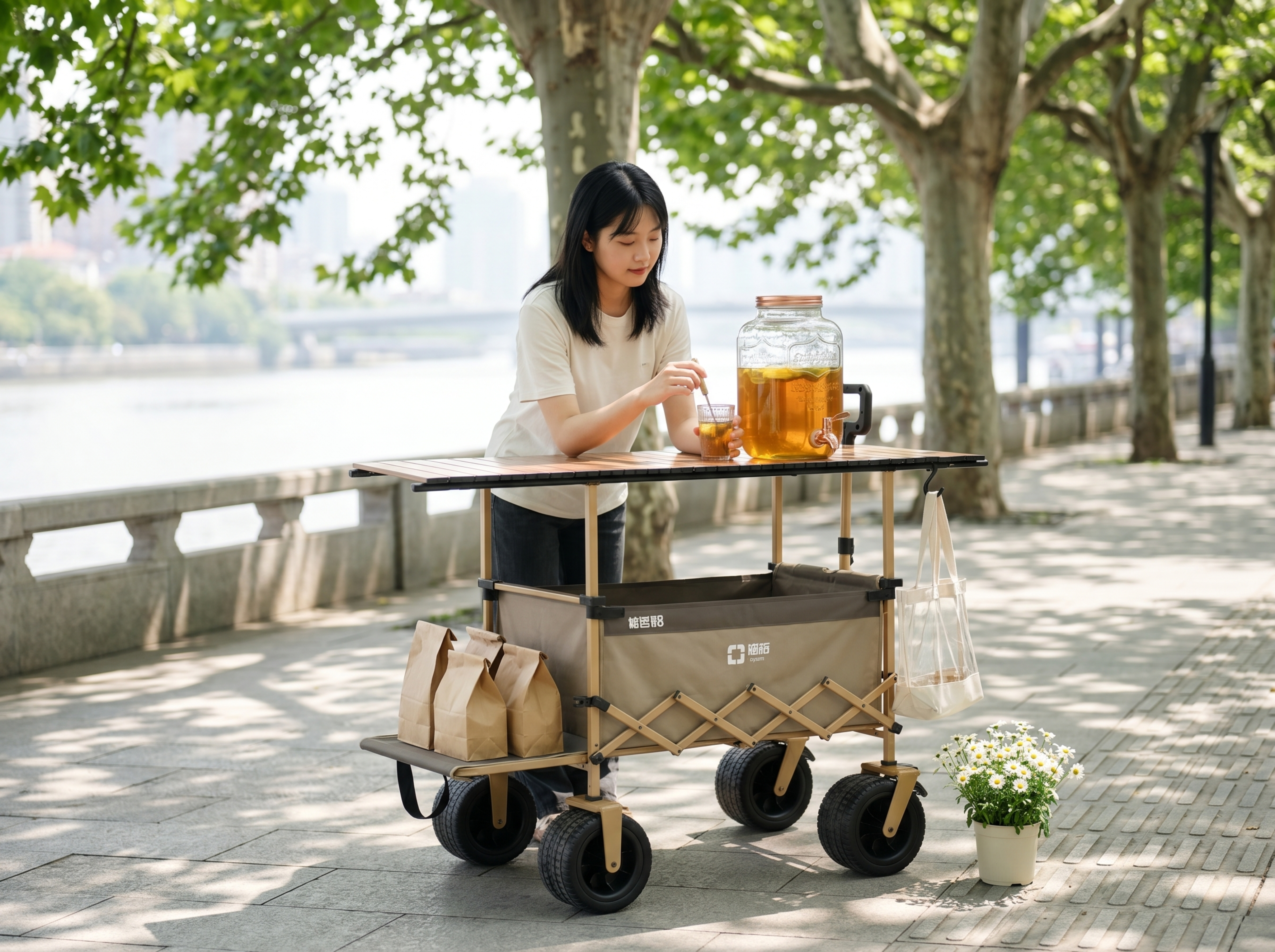 商业级户外产品摄影。 主体：露营推车严格参照上传产品图，完整保… - 图片创意预览