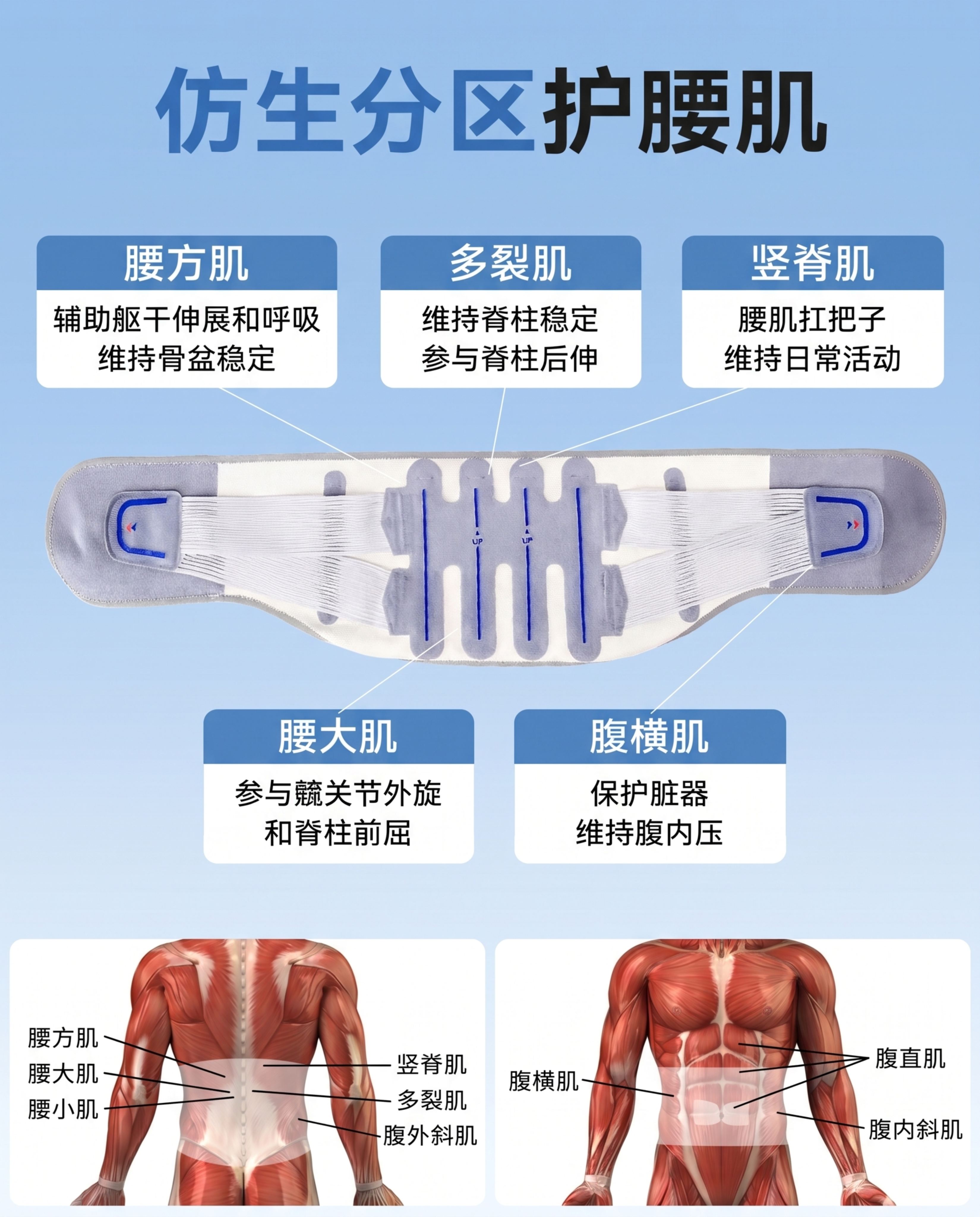 护腰腰带严格参照上传产品图2（https://gdesign-… - 图片创意预览