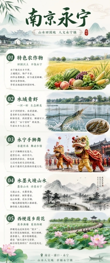 公众号图文长图，顶部有醒目标题栏写着"南京永宁"，依次清晰分块排版：特色农作物、水域青虾、永宁手狮舞非遗表演、水墨大埝山水、西梗莲乡荷花，每个板块都配有精炼的介绍文案，版式整洁舒朗，国风清新风格，适合预览效果
