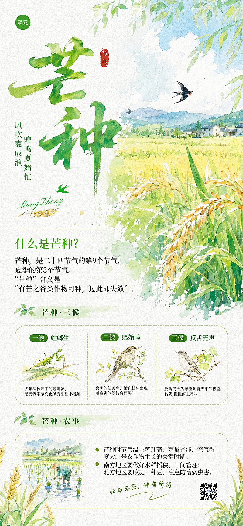 芒种知识科普水彩感插画手机全屏竖版海报