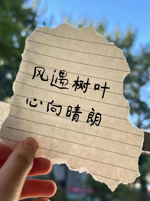 激励正能量语录分享摘抄手写实景风小红书封面预览效果