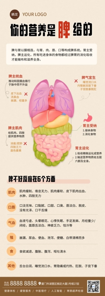 脾健康知识科普分享现代风长图海报预览效果
