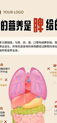 脾健康知识科普分享现代风长图海报