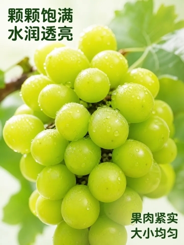 [第3屏] 详情页果实细节特写屏-阳光玫瑰饱满水润果肉展示。本屏使用【图1】作为商品主体参考，截取果实区域进行特写放大。
[氛围/风格] 微距质感，突出水润新鲜，商业生鲜水果摄影，干净通透，突出果肉颗预览效果