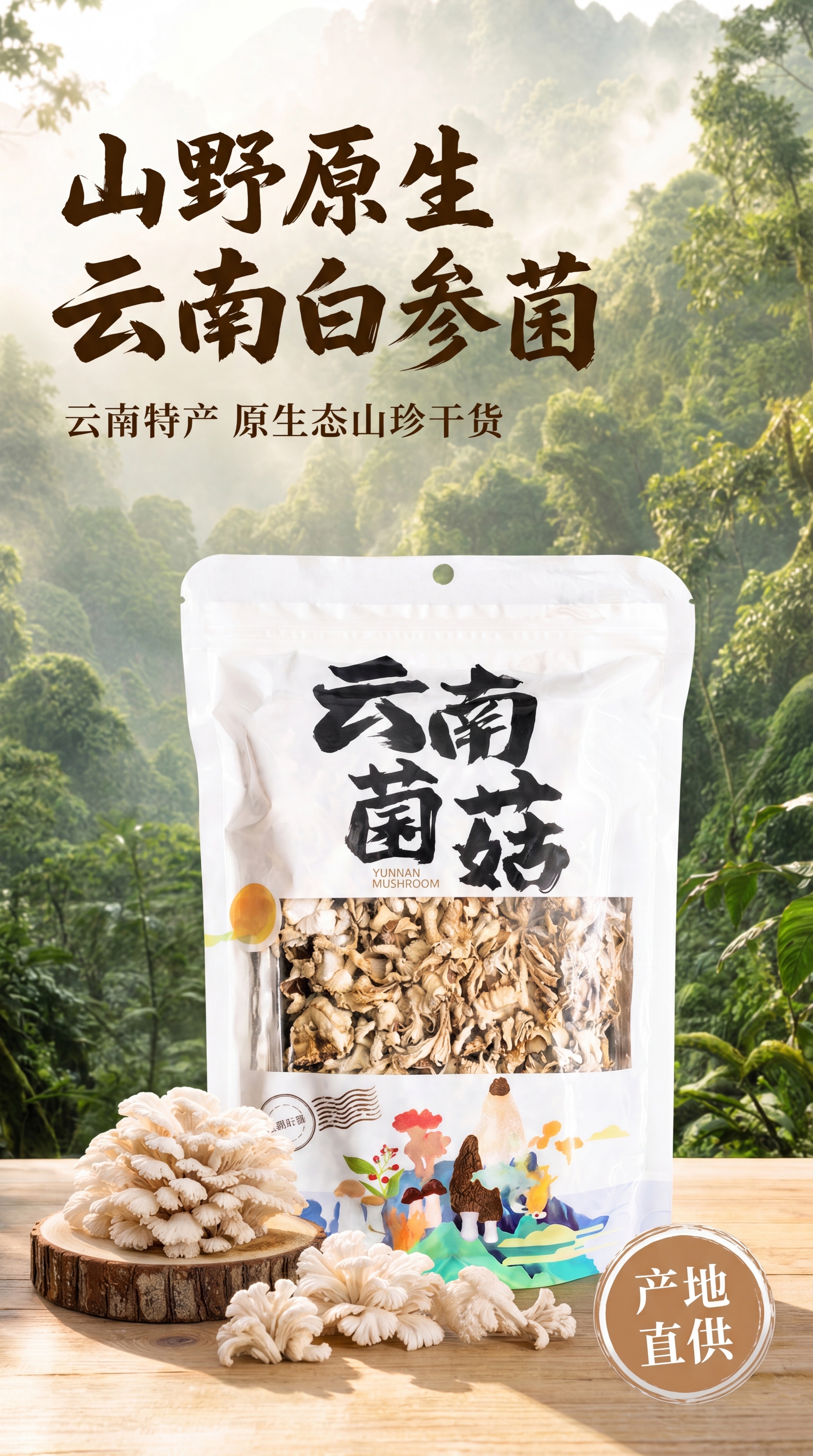 [第1屏] 详情页首屏-云南特产白参菌干货主视觉海报，主打山野… - 图片创意预览