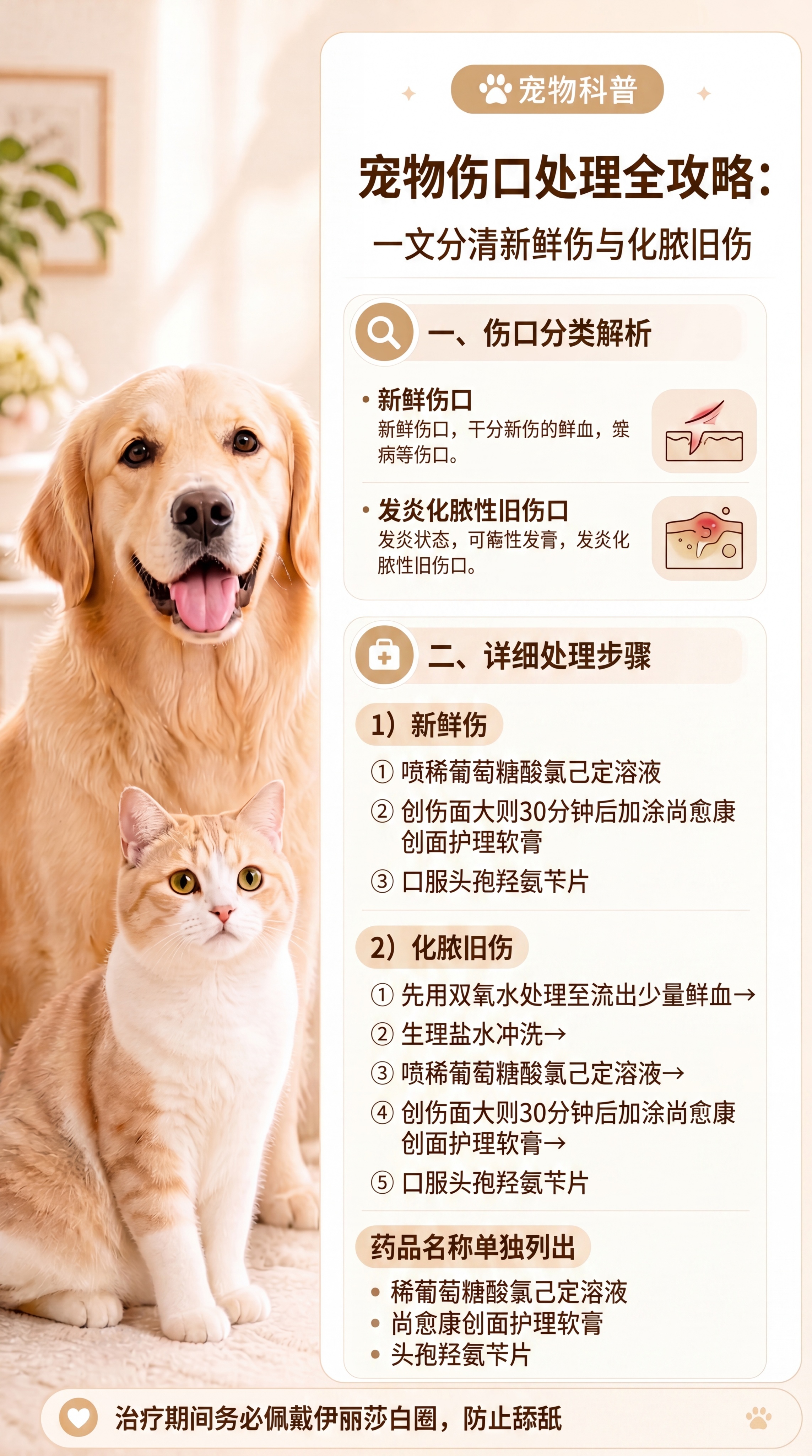 「图片1」伤口处理 伤口还分新鲜伤口和发炎化脓性旧伤口。 新鲜… - 图片创意预览