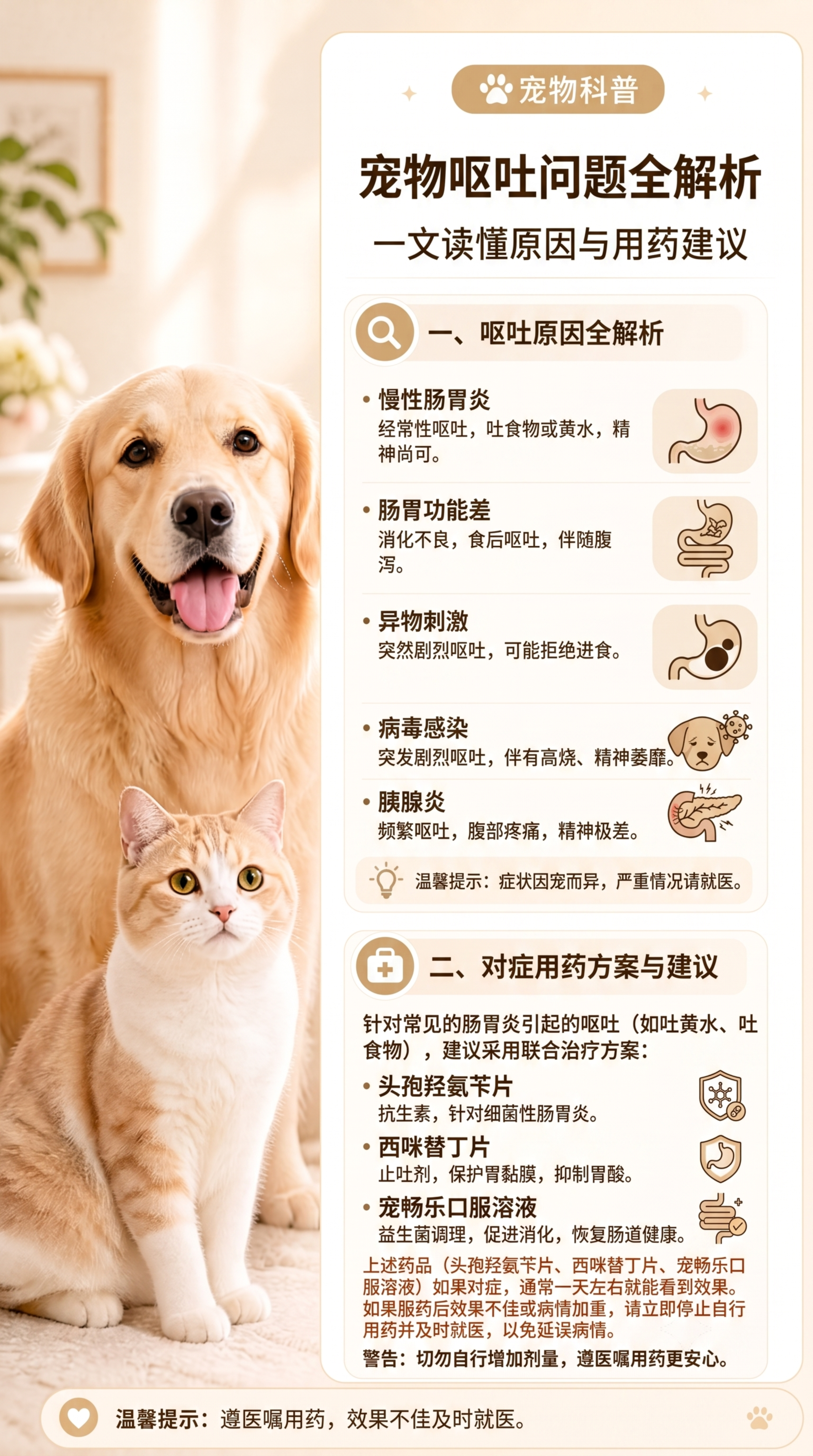 参考提供的图片风格生成一张宠物科普小红书笔记图片，标题为"宠物… - 图片创意预览