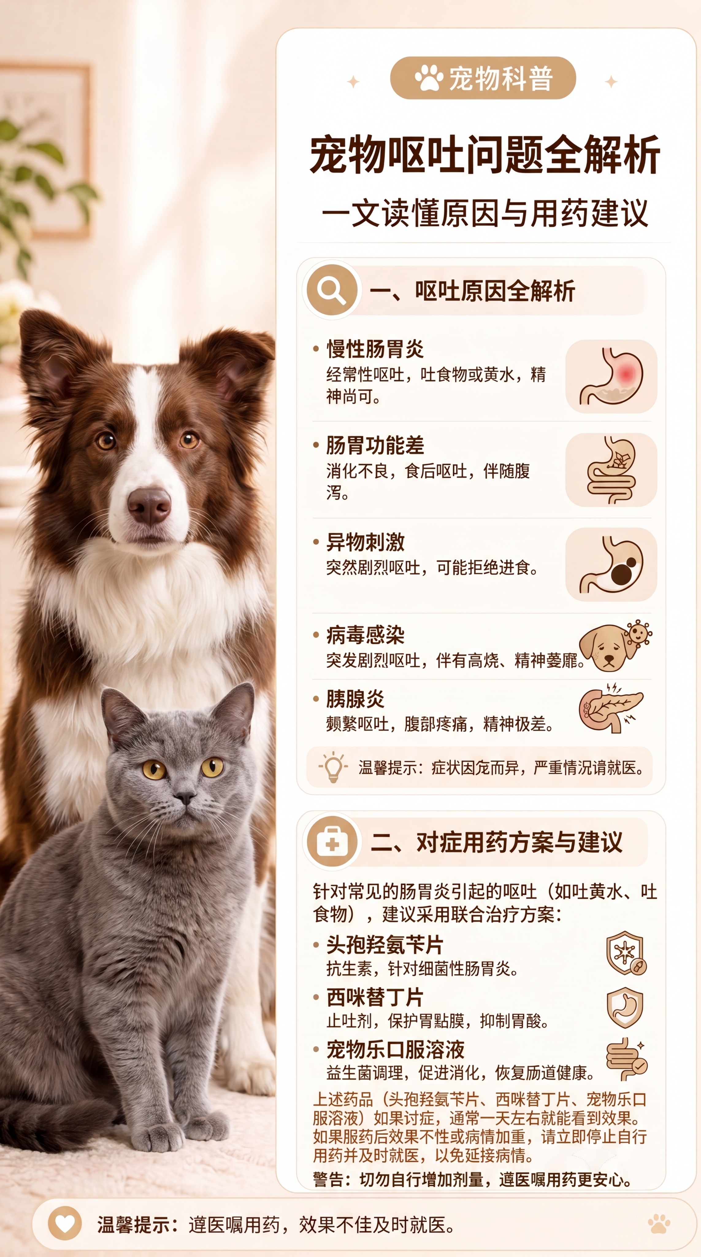 将图片左侧的金毛犬和橘猫替换成不同的其他真实宠物猫狗，表情自然… - 图片创意预览