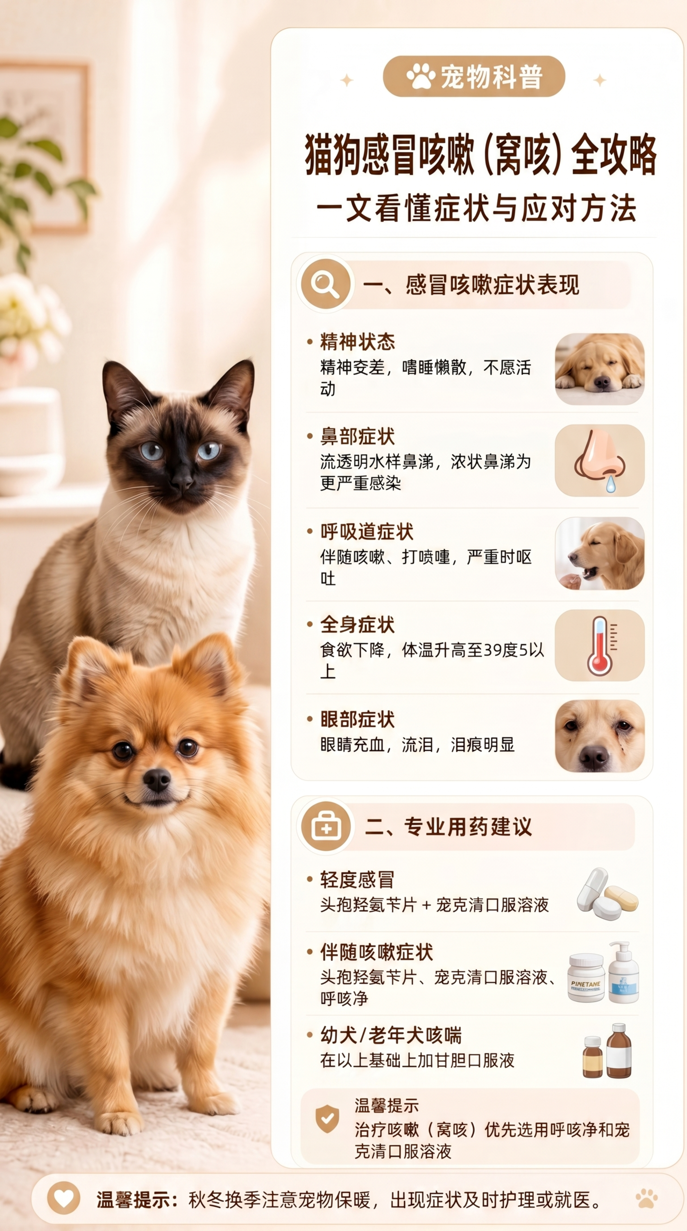 将图片左侧的金毛犬和橘猫替换成不同的其他真实宠物猫狗，表情自然… - 图片创意预览