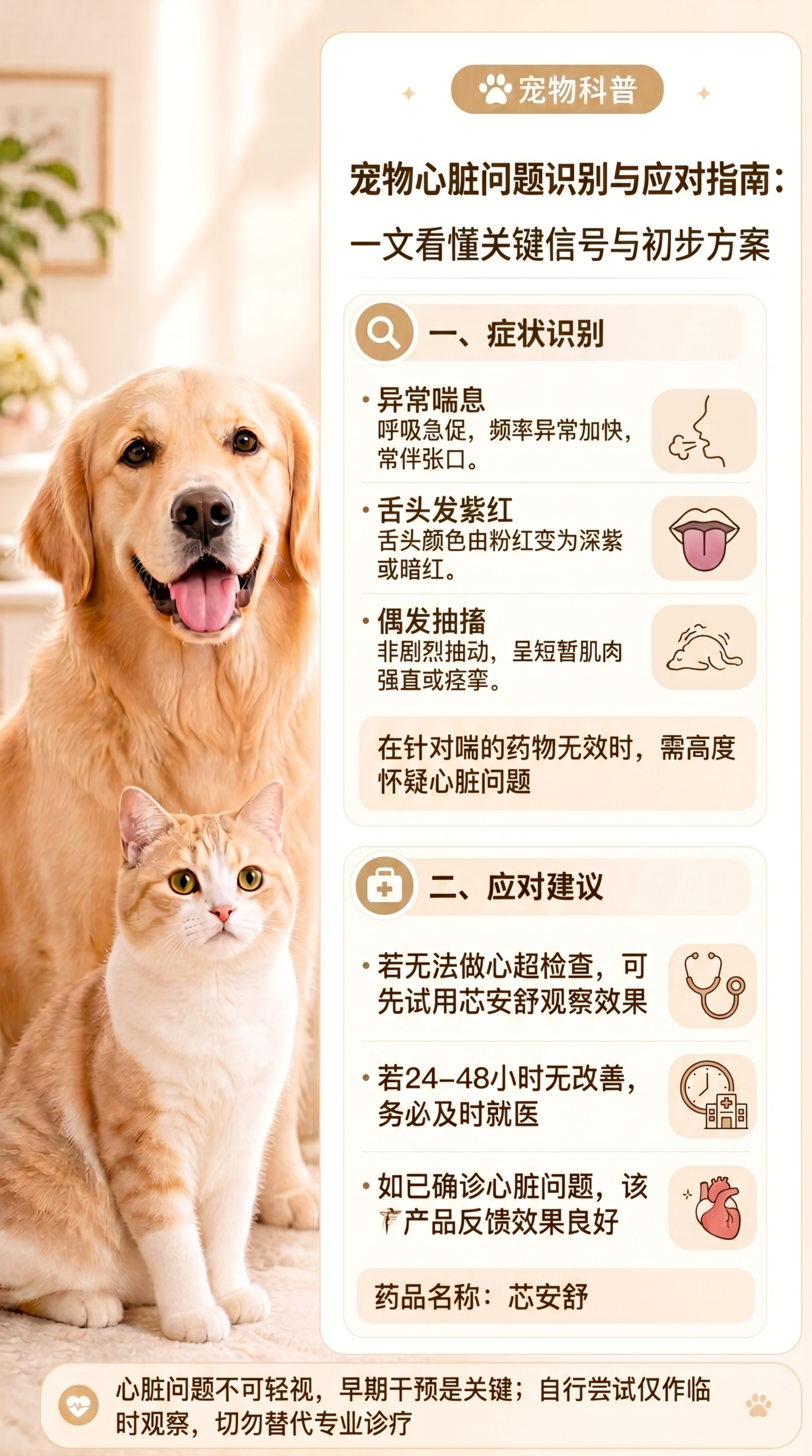 「图片1」心脏问题 在不做检查的情况下，怎么判断是心脏出了问题… - 图片创意预览