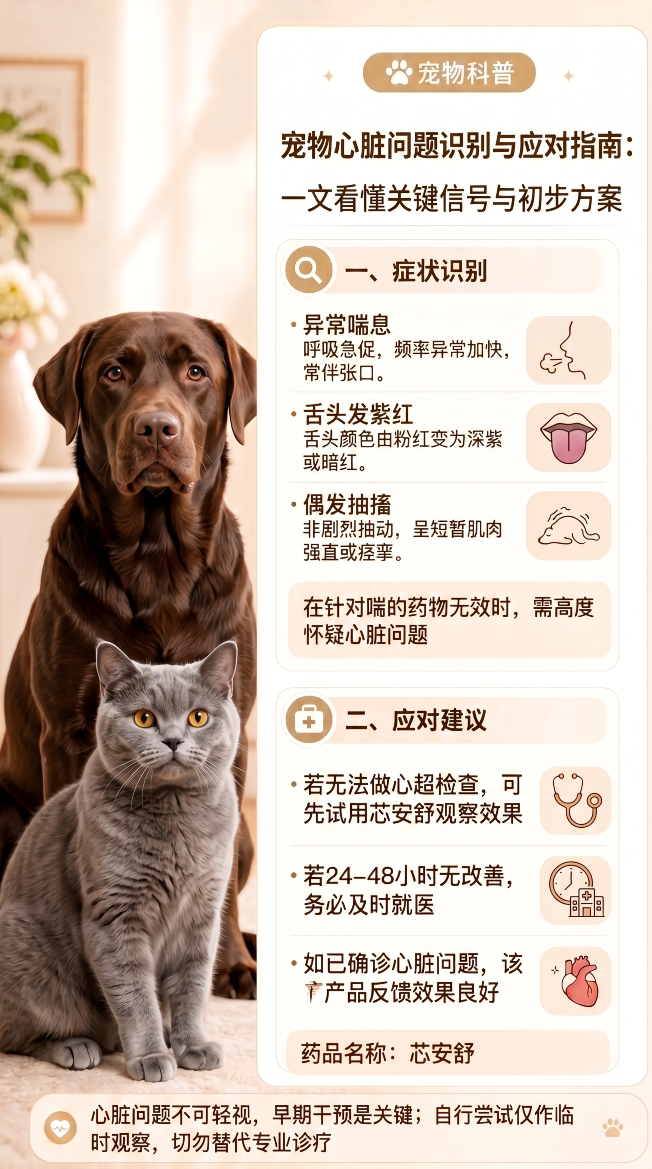 将图片左侧的金毛犬和橘猫替换成不同的其他真实宠物猫狗，表情自然… - 图片创意预览