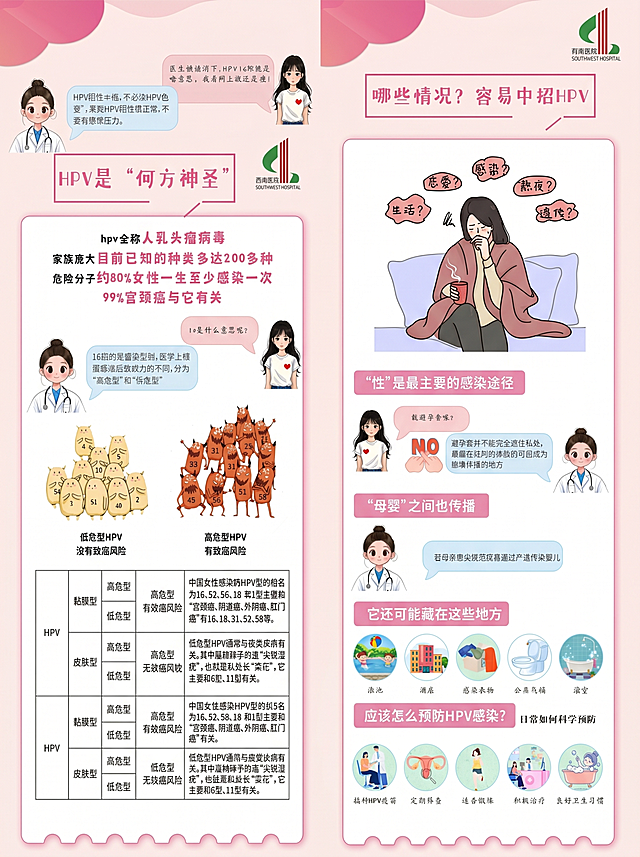 将两张HPV科普海报合并为一张完整的竖版海报，保持原粉色医疗科普风格、所有图文内容和排版不变，整体尺寸比例为宽60cm，高80cm，保证所有文字清晰可见，上下内容衔接自然统一