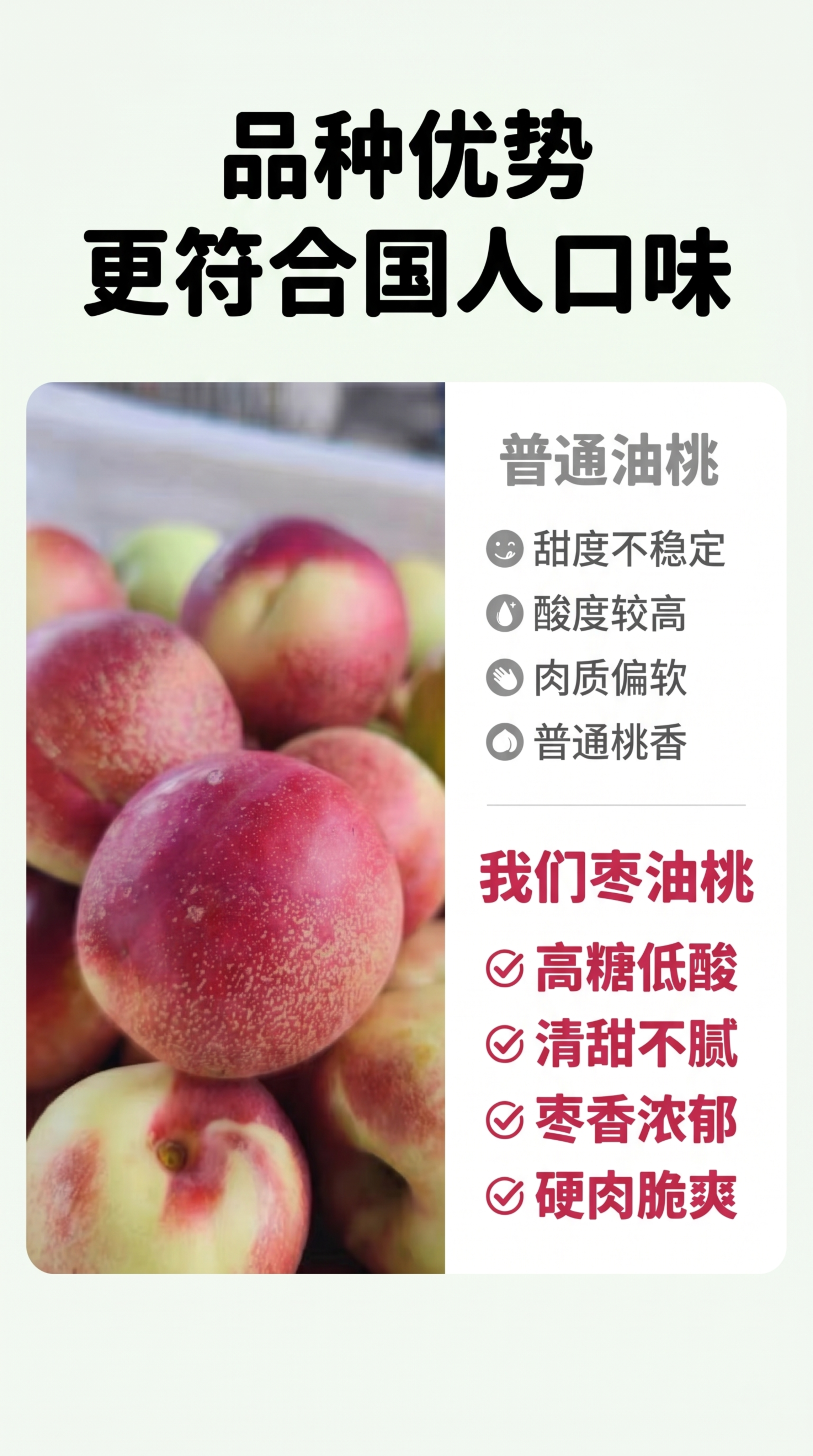 [第12屏] 口感对比优势屏-突出枣油桃高糖低酸清甜不腻特质。… - 图片创意预览