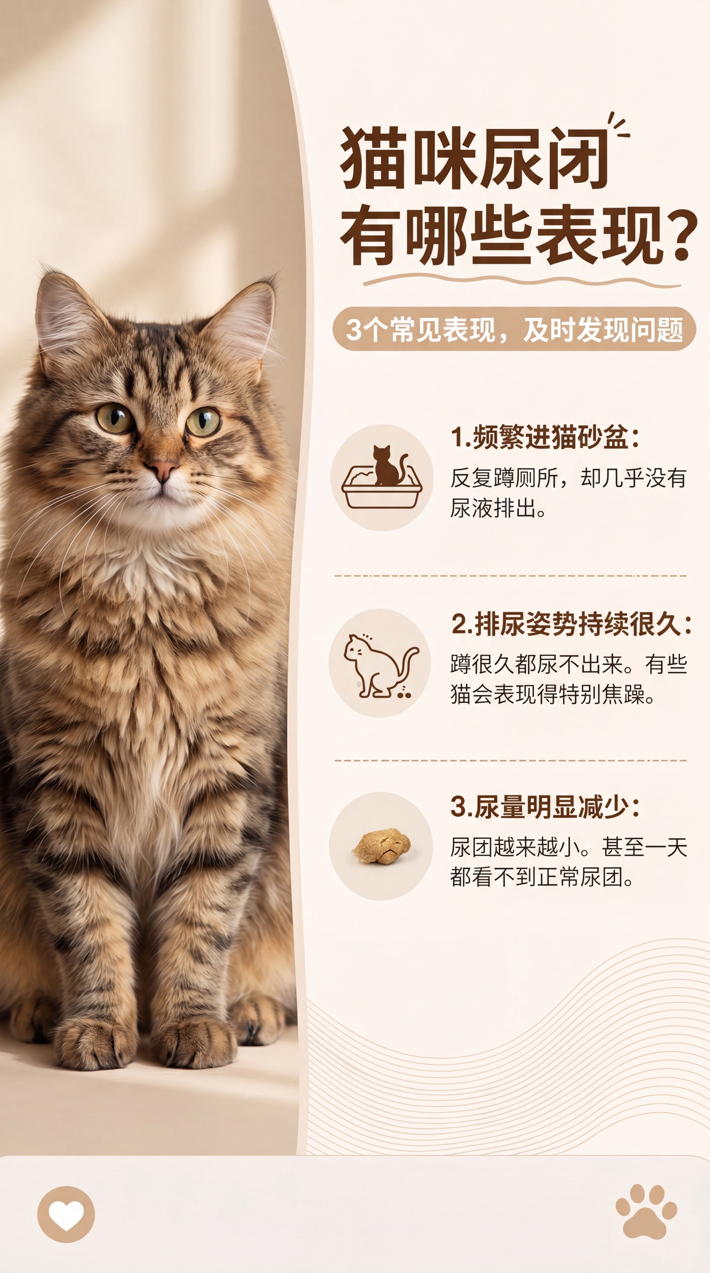 按照参考图风格生成养猫科普图文海报，标题放在图片上方为"猫咪尿… - 图片创意预览
