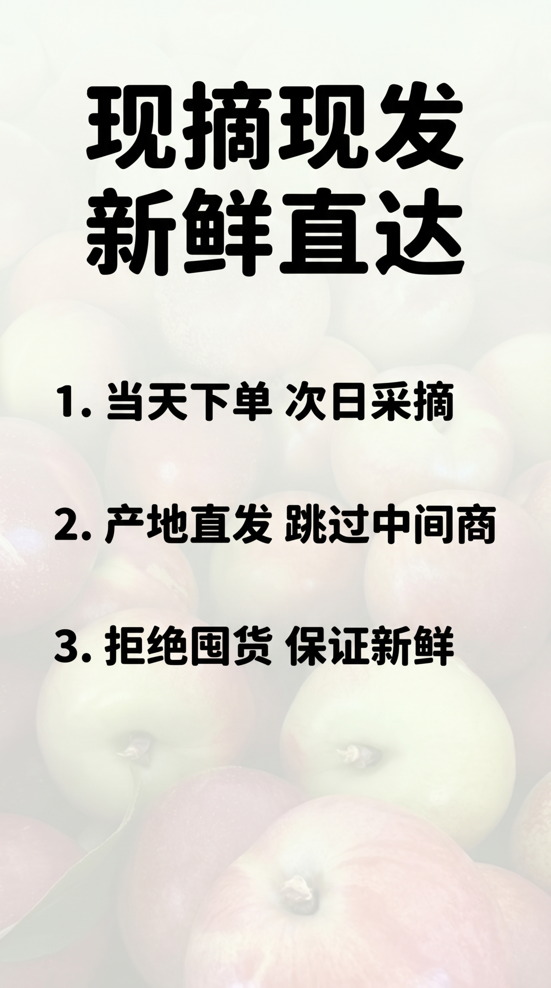 [第13屏] 物流说明屏-介绍枣油桃现摘现发新鲜直达服务。清晰… - 图片创意预览