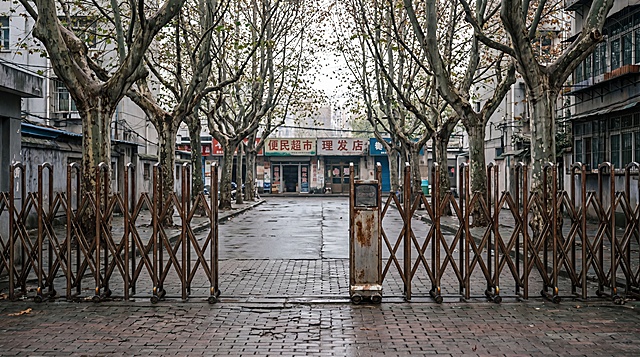 小区门口・前妻的嘲讽，老小区正门街道，铁艺伸缩大门半开，门口种着两排行道树，人行道地砖略有磨损，白天阴天自然光，街道空旷，背景可见远处的沿街商铺，氛围清冷平淡，画面无人物，8K 高清，真实老小区门口质感，超写实仿真摄影，16:9横版