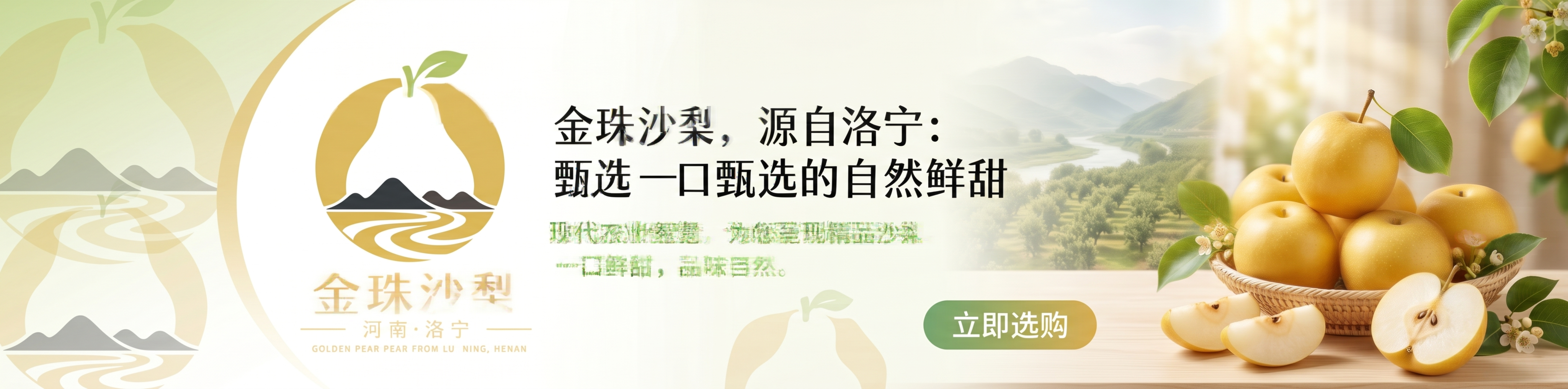 金珠沙梨官网首页品牌banner设计，参考提供的logo，主色… - 图片创意预览