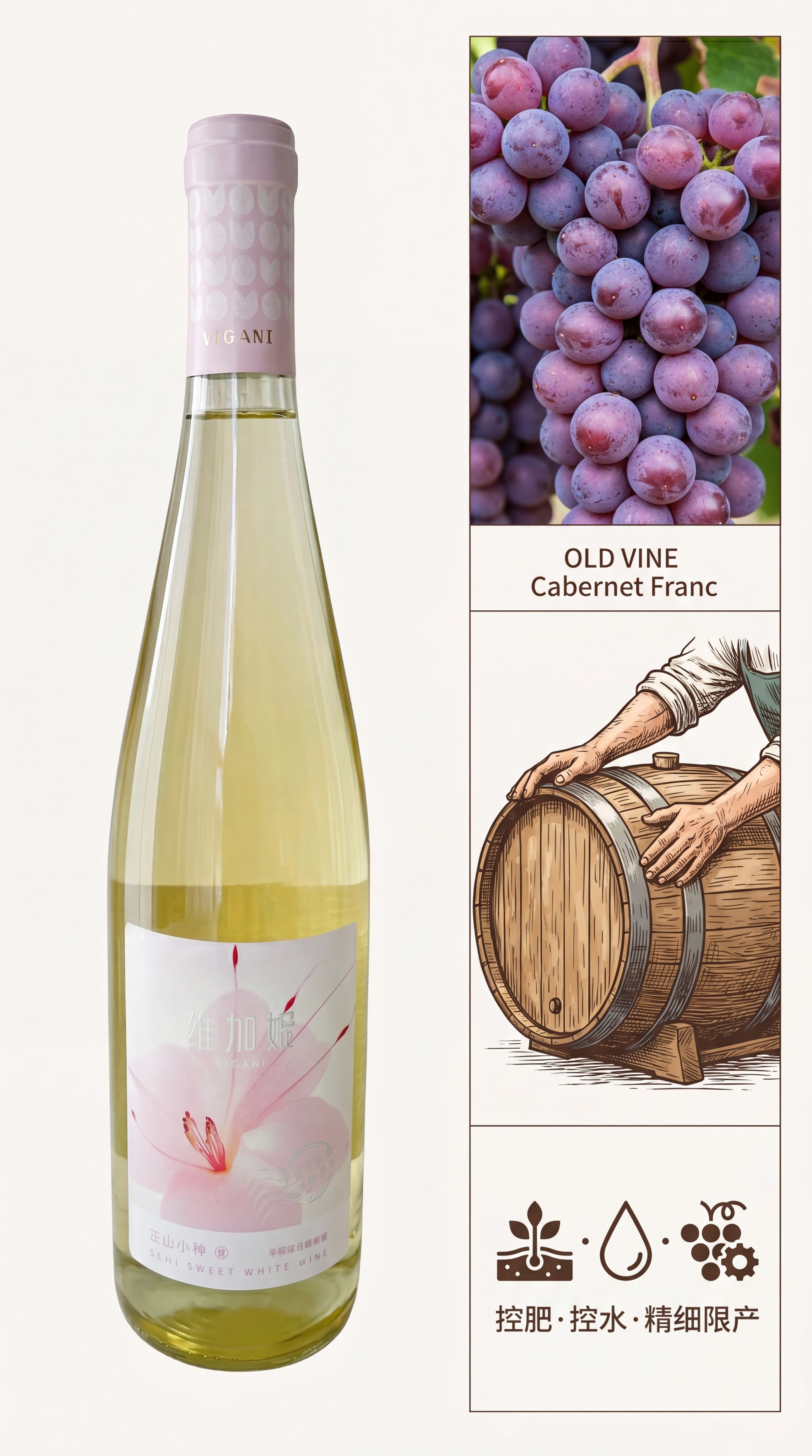 【第4屏】葡萄与酿造屏：品丽珠老藤细节+工艺说明。浅米白底（#… - 图片创意预览