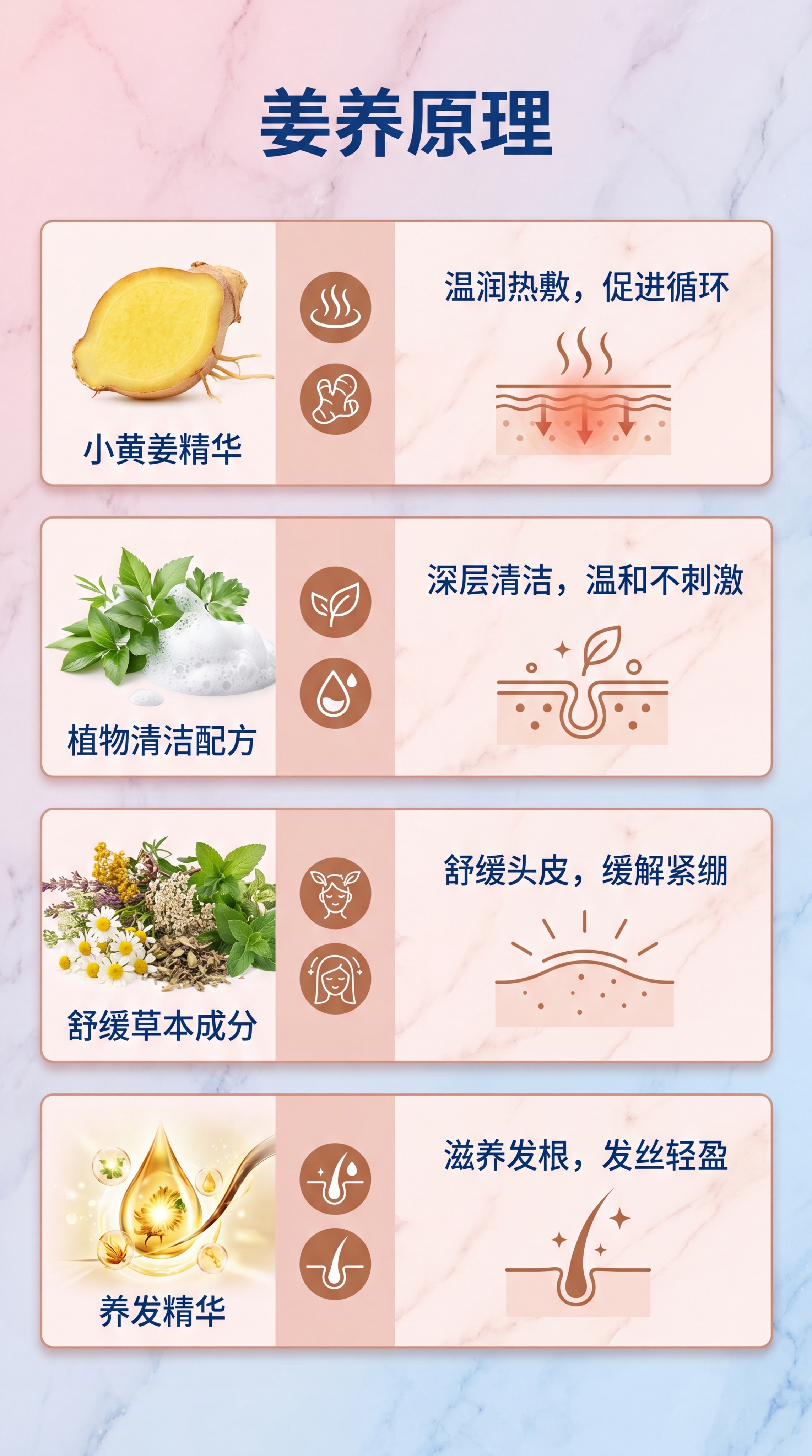 [第5屏] 成分功效页，重点介绍生姜成分祛湿驱寒作用原理。 [… - 图片创意预览