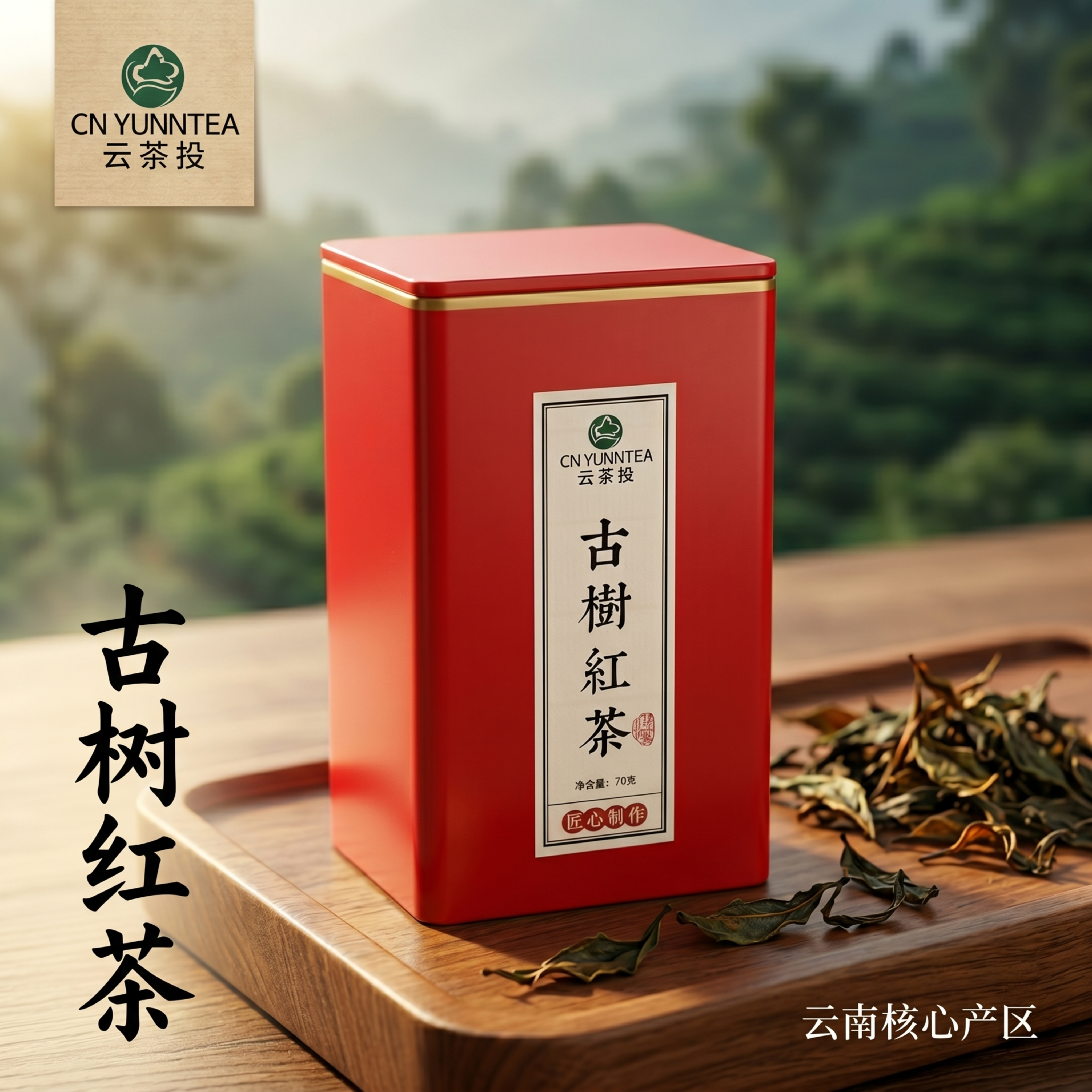 [主图-1] 古树红茶产品首图场景展示 [氛围风格] 国风自然… - 图片创意预览