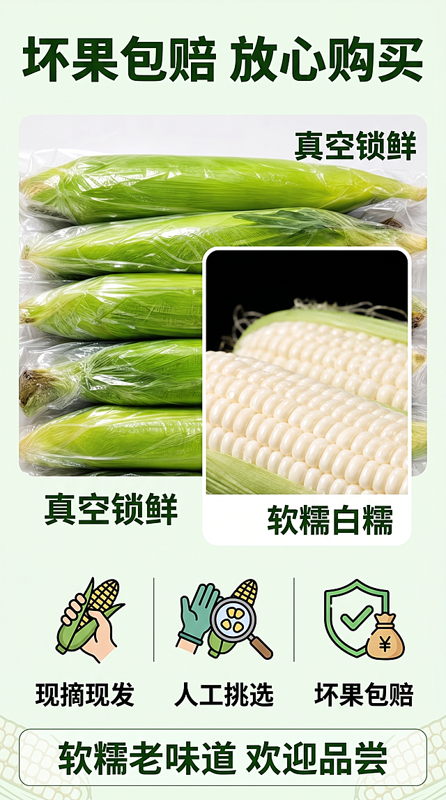 [第6屏] 品质保障收尾页-四川老品种白糯玉米，品质承诺。本屏使用【图2】【图3】组合展示，图2展示包装，图3展示颗粒。
[氛围/风格] 可靠安心收尾风格，简洁清晰，突出售后保障。
[元素布局] 顶部主标题，中上位置放置包装图和颗粒图拼排，占比约40%；下方分三栏放置保障卖点，最底部行动号召。保持两张图产品外观与输入图一致。
[光影质感] 均匀布光，整体干净明亮，产品清晰可见。
[配色色系] 全局底色 #F2F9F0；延续首屏配色方案，深浅绿色搭配，文字深绿为主。
[视角构图] 从上到下通屏排版，信息层级清晰，稳定舒适。
[文字版式] 使用圆角黑体标题字形，字色仅深绿和黑色两种，纯色填充字效。顶部主标题「坏果包赔 放心购买」，下方三栏卖点：「现摘现发」「人工挑选」「坏果包赔」，各配对应图标；底部行动号召「软糯老味道 欢迎品尝」，文字清晰易读。
[比例分辨率] 9:16，4K，文字清晰可辨。
[负向提示词] 产品变形，图文错位，文字模糊，文字过小。