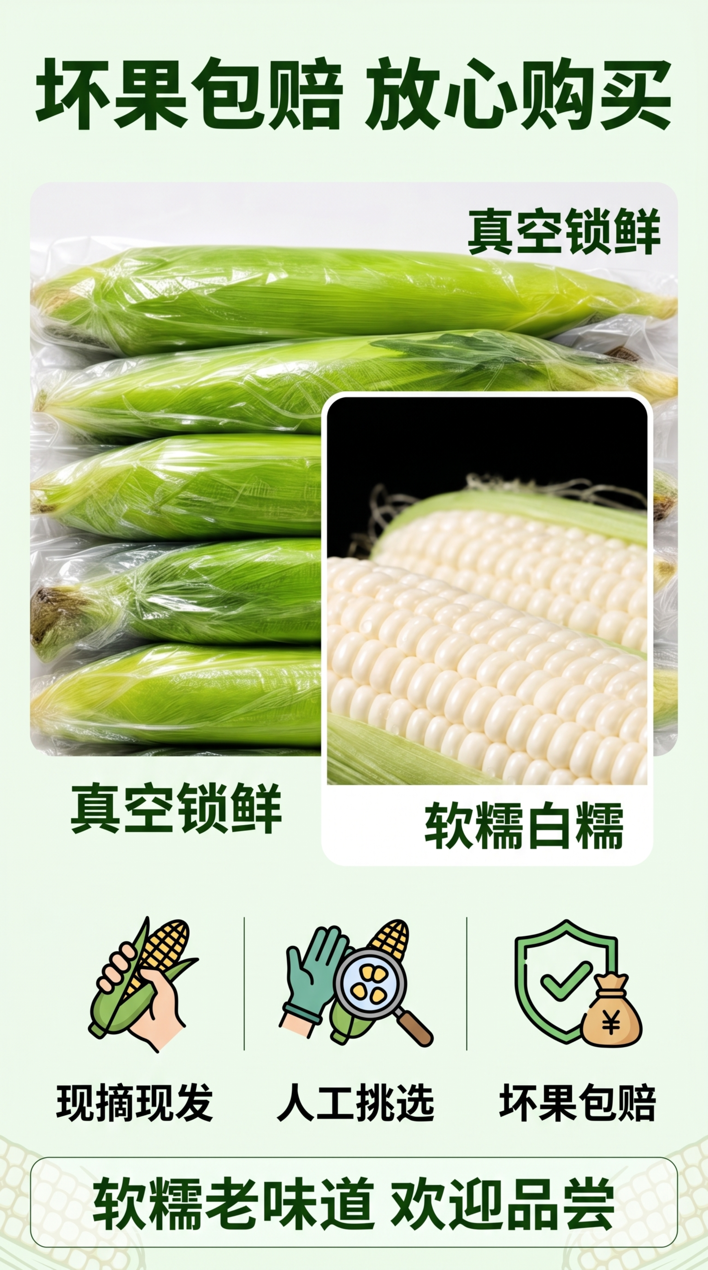 [第6屏] 品质保障收尾页-四川老品种白糯玉米，品质承诺。本屏… - 图片创意预览