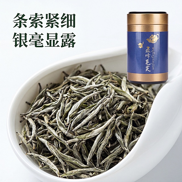 [主图-3] 五峰毛尖干茶细节特写图
氛围风格为专业质感，突出茶叶品质，商业摄影质感，光线柔和通透，产品清晰真实，画面干净高级。百鹿春毫五峰毛尖蓝金罐装放置在画面右上，白瓷茶则中盛放满干茶毛尖放置在画面左下，干茶条索紧细匀整，银绿隐翠，微距展示干茶纹理。保持产品外观物理结构材质质感颜色与输入产品图绝对一致，杜绝任何变形和色差，精细化处理。主体内容突出，布局均衡，画面满屏无边框。柔和侧光，突出干茶条索纹理，质感清晰，明暗有致。素雅配色，白瓷底色衬托干茶银绿，搭配蓝金罐体，雅致高级。斜向分割构图，产品和细节各占一半，视觉层次清晰。左上留白区域文字"条索紧细 银毫显露"，深绿色字体，大小对比清晰，不遮挡干茶。1:1比例，4k分辨率，文字清晰锐利，画面超高清。负向提示词：变形，水印，文字错乱，产品图模糊，背景杂乱