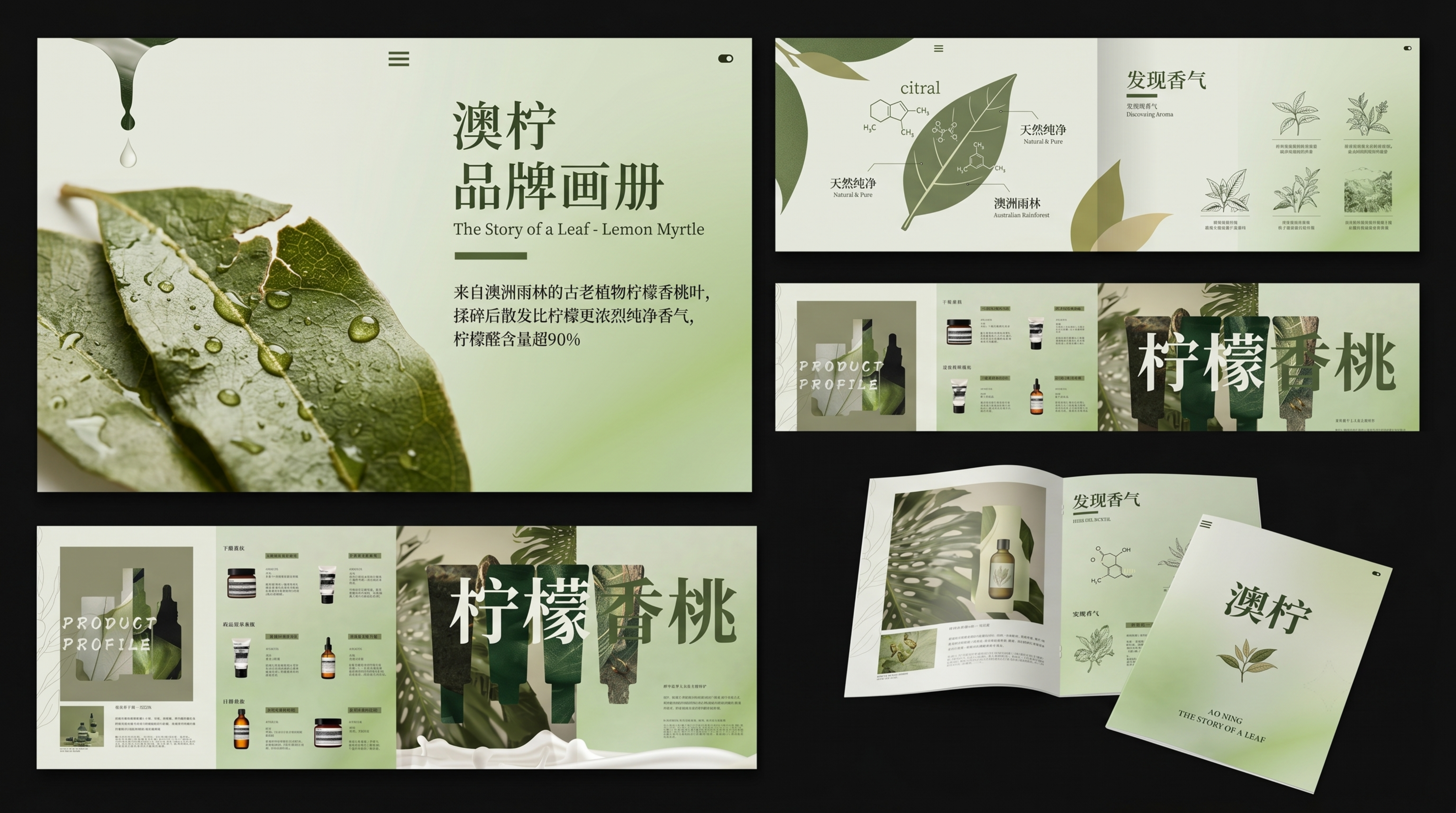 澳柠品牌画册开篇页，主题为一片叶子的故事，文字描述：来自澳洲雨… - 图片创意预览