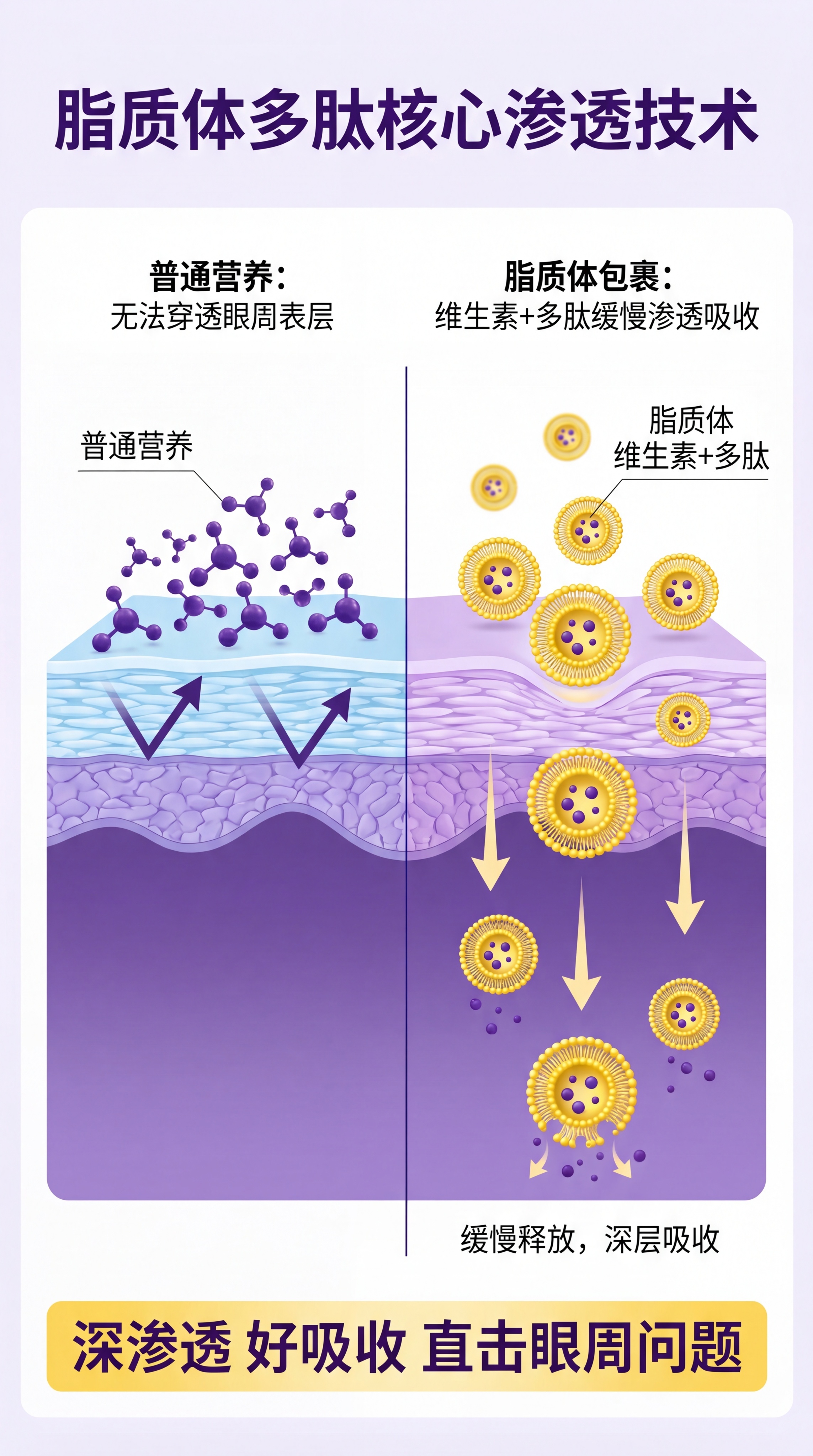 [第4屏] 复合维生素多肽脂质体护眼贴脂质体核心技术原理讲解。… - 图片创意预览