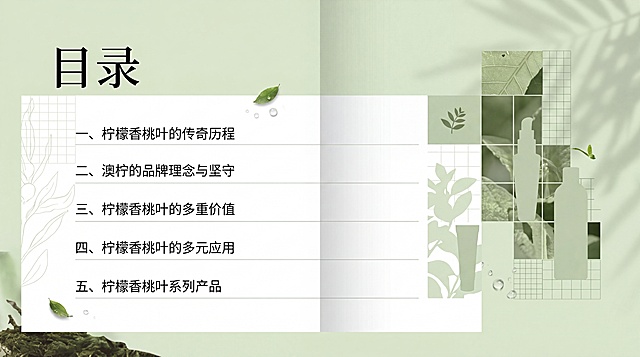 生成一本植物护肤品牌画册的目录页，参考提供图片的浅绿自然方格拼接设计风格，保留自然清新的植物护肤调性，文字内容：目录
一、柠檬香桃叶的传奇历程
二、澳柠的品牌理念与坚守
三、柠檬香桃叶的多重价值
四、柠檬香桃叶的多元应用
五、柠檬香桃叶系列产品，整体采用浅绿色植物背景，设计简约高级，留白合理，文字排版清晰