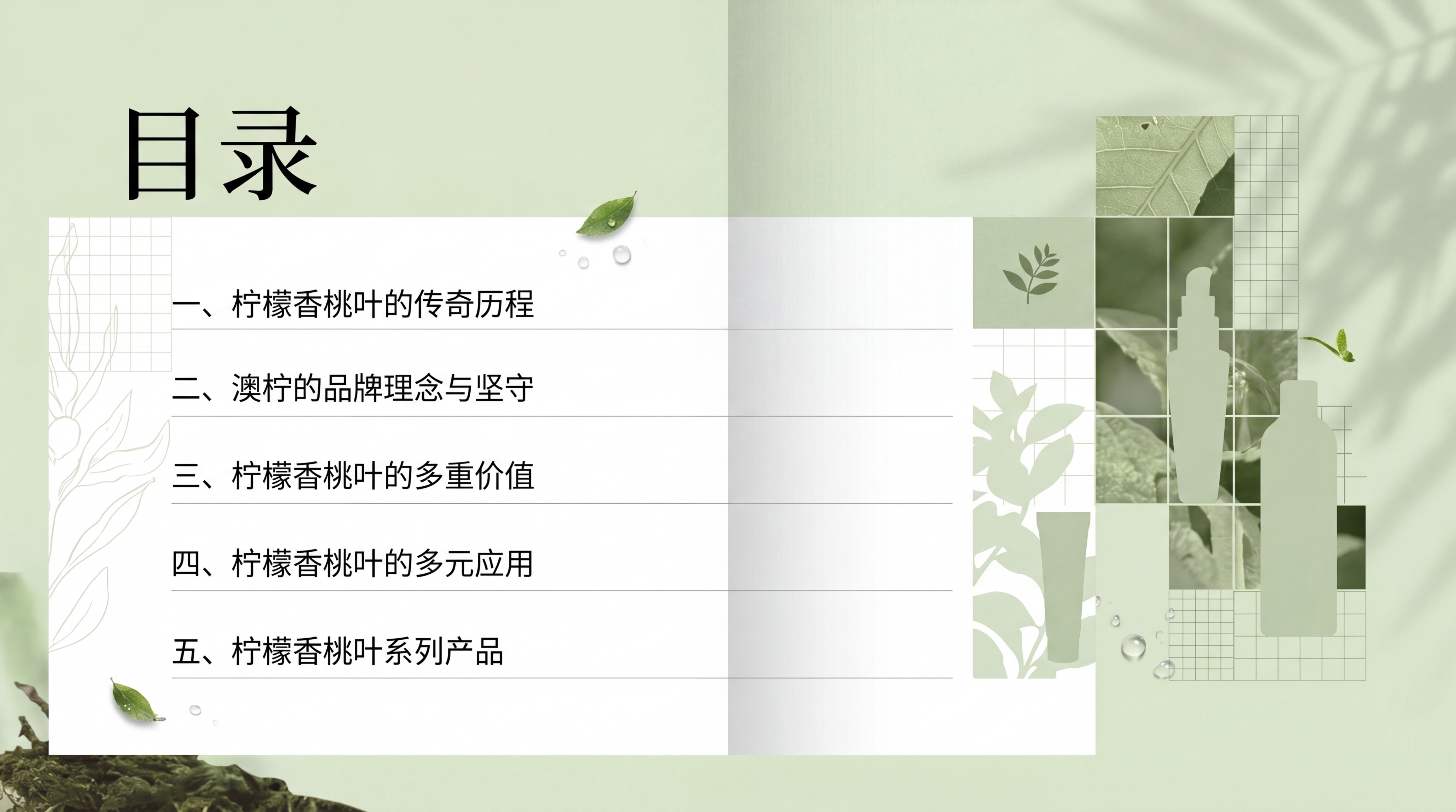 生成一本植物护肤品牌画册的目录页，参考提供图片的浅绿自然方格拼… - 图片创意预览