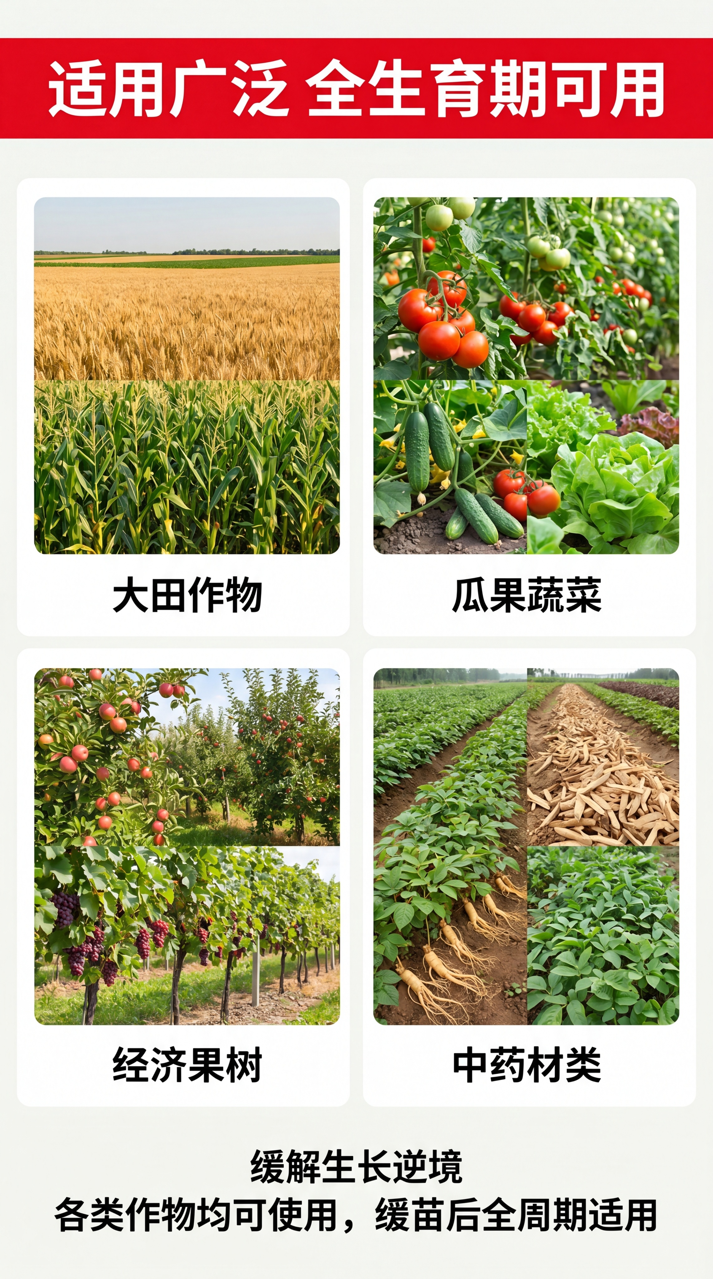 [第3屏] 适用场景展示页，介绍牛芽适用作物与生长周期。 [氛… - 图片创意预览