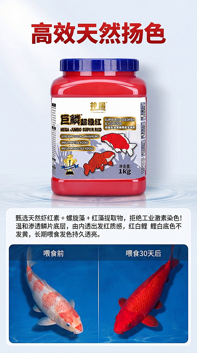 [第1屏] 巨鳞超级红金鱼锦鲤饲料-高效天然扬色卖点详情页。本屏使用【图1】作为商品主体，左右分栏对比展示锦鲤喂食前后效果。 氛围风格：专业水族用品商业风，干净清晰的真实摄影质感，红蓝配色突出产品功效。 元素布局：商品主体放在页面上半部分，占比约60%；下半部分左右分栏放置对比图，左栏展示喂食前发白锦鲤，右栏展示喂食30天后艳红锦鲤；保持产品包装外观、颜色、结构与输入图片完全一致。 光影质感：顶部柔和主光，产品和锦鲤图片明暗层次清晰，边缘自然投影，整体明亮通透。 配色色系：全局底色#F5F7FA，主色红色突出产品，辅助色深蓝色锦鲤背景，金色点缀标题文字。 视角构图：上下构图，产品在上对比图在下，阅读动线从上到下自然流畅。 文字版式：顶部商品图上方放置主标题"高效天然扬色"，加粗黑体红色标题；下方对比图上方放置文案："甄选天然虾红素 + 螺旋藻 + 红藻提取物，拒绝工业激素染色！
温和渗透鳞片底层，由内透出发红质感，红白鲤白底色不发黄，长期喂食发色持久透亮。"；文字清晰排版不遮挡产品和对比主体，主标题醒目正文清晰可读。 比例分辨率：9:16竖版，4K分辨率，高清画质。 负向提示词：产品包装变形，文字错乱模糊，颜色偏差，对比图失真，水印，结构错误