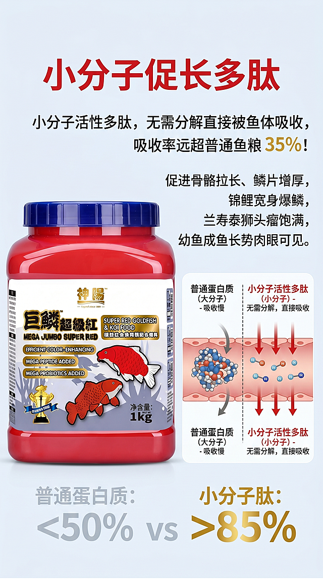 [第2屏] 巨鳞超级红金鱼锦鲤饲料-小分子促长多肽卖点详情页。本屏使用【图1】作为商品主体。 氛围风格：专业水族用品商业风，真实清晰的科学实验对比质感，蓝红配色体现专业高效。 元素布局：商品主体放在页面左侧，占比约55%；右侧区域放置功效说明和数据对比，展示小分子肽吸收优势；保持产品包装外观、颜色、结构与输入图片完全一致。 光影质感：左侧柔光打亮产品，右侧信息区均匀布光，整体清晰通透，对比文字突出醒目。 配色色系：全局底色#F0F4F8，主色红色产品，辅助色蓝色对比区块，金色高亮核心数据。 视角构图：左右分栏构图，左产品右信息，阅读动线从左到右清晰自然。 文字版式：页面顶部放置主标题"小分子促长多肽"，加粗黑体红色主标题；下方右侧区域文案："小分子活性多肽，无需分解直接被鱼体吸收，吸收率远超普通鱼粮 35%！
促进骨骼拉长、鳞片增厚，锦鲤宽身爆鳞，兰寿泰狮头瘤饱满，幼鱼成鱼长势肉眼可见。"；左侧产品不遮挡文字，排版清晰主副标题层级分明，文字清晰可读适配手机端。 比例分辨率：9:16竖版，4K分辨率，高清画质。 负向提示词：产品包装变形，文字过小错乱，数据错误，颜色偏差，水印，结构混乱