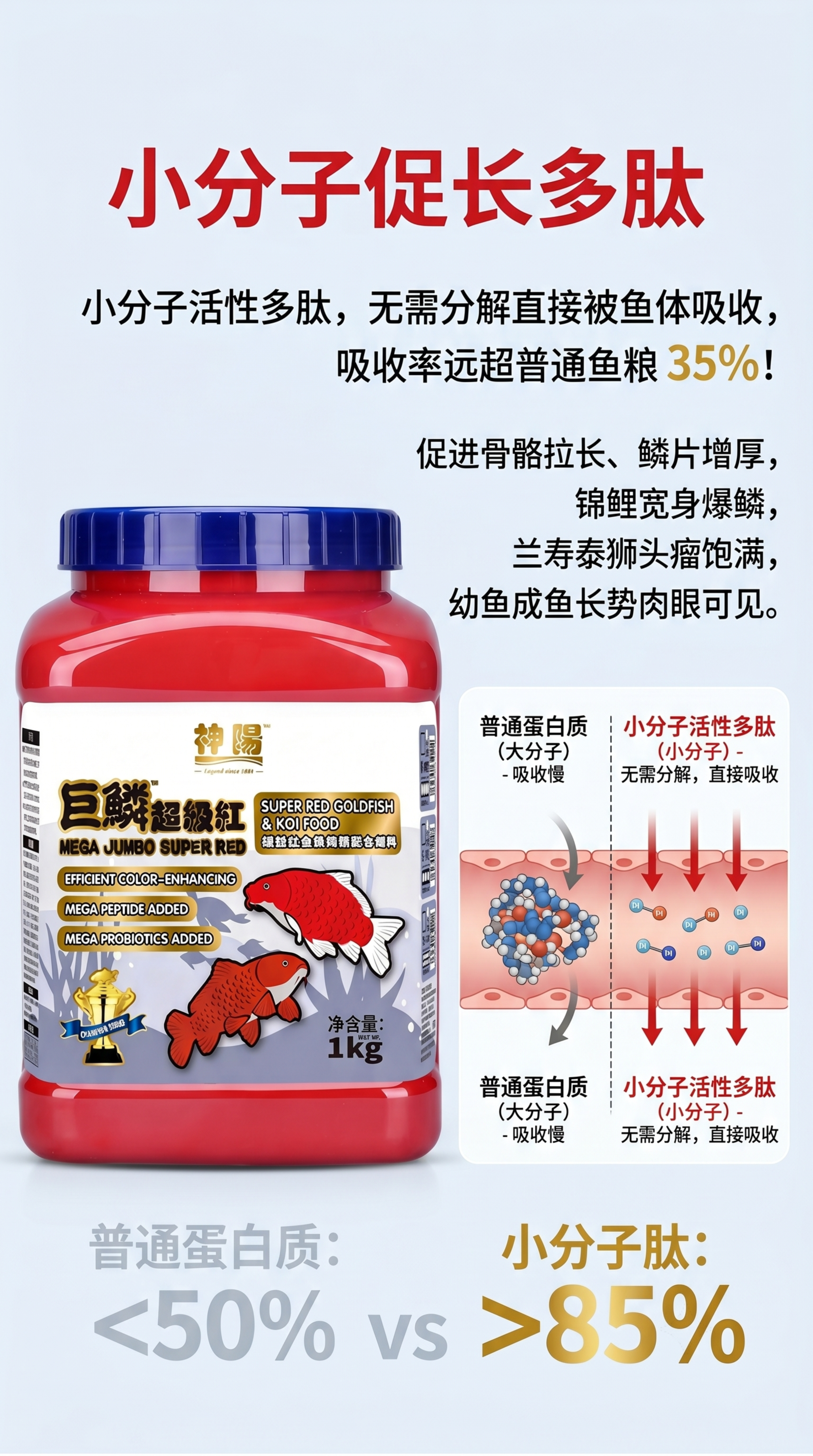 [第2屏] 巨鳞超级红金鱼锦鲤饲料-小分子促长多肽卖点详情页。… - 图片创意预览