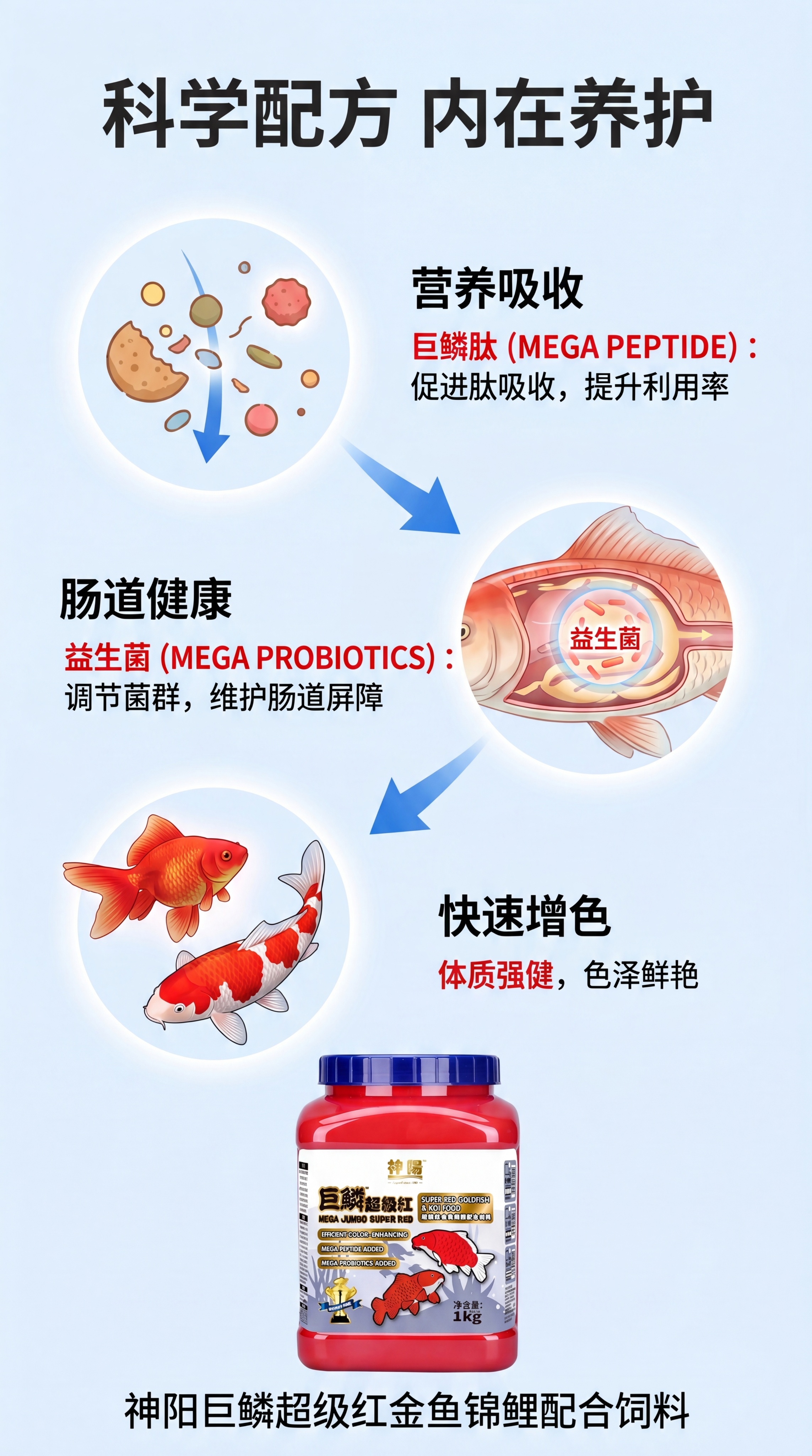[第4屏] 功效原理演示-益生菌与巨鳞肽作用说明。 [氛围/风… - 图片创意预览