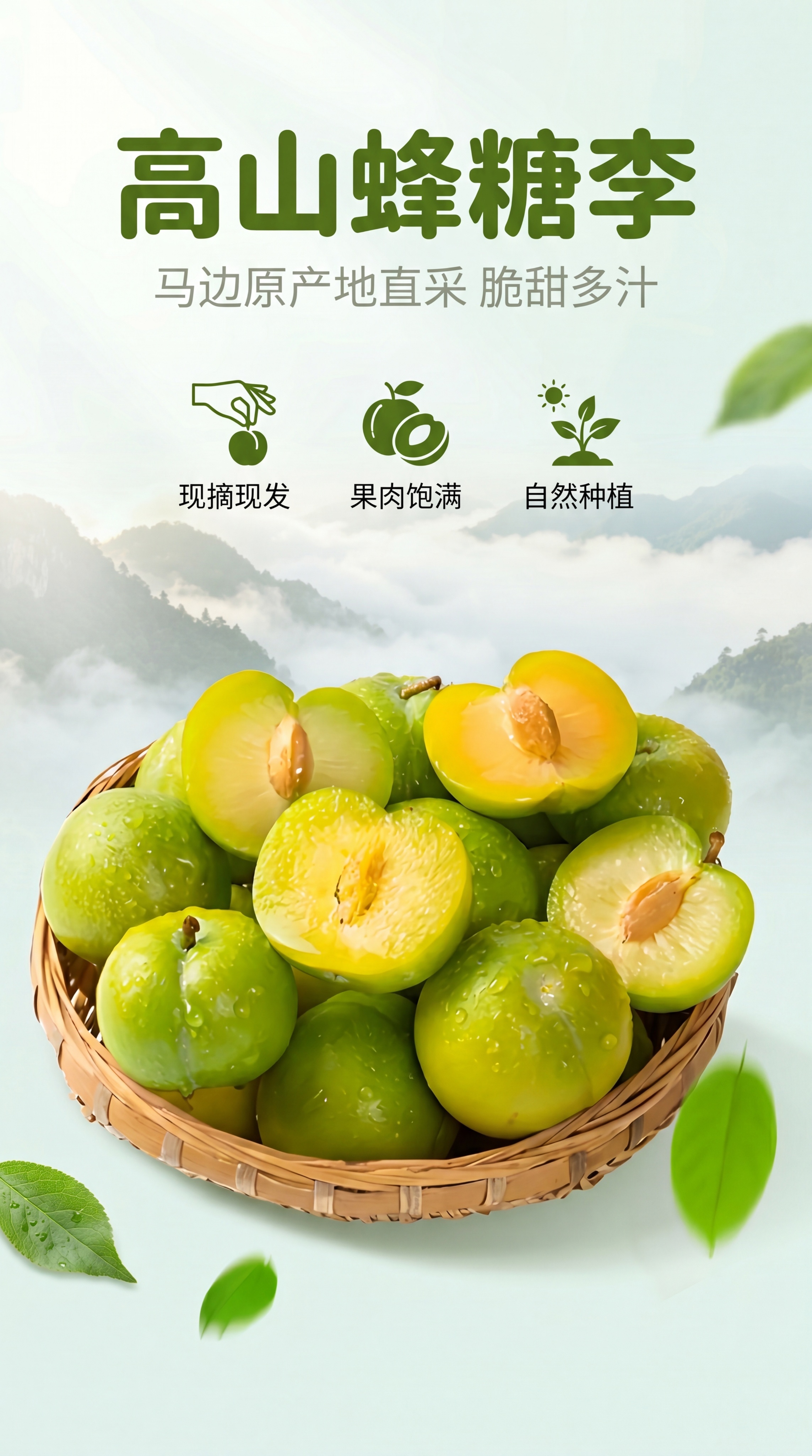 [第1屏] 详情页头图马边彝族自治县诺苏嘉果蜂糖李主视觉宣传。… - 图片创意预览